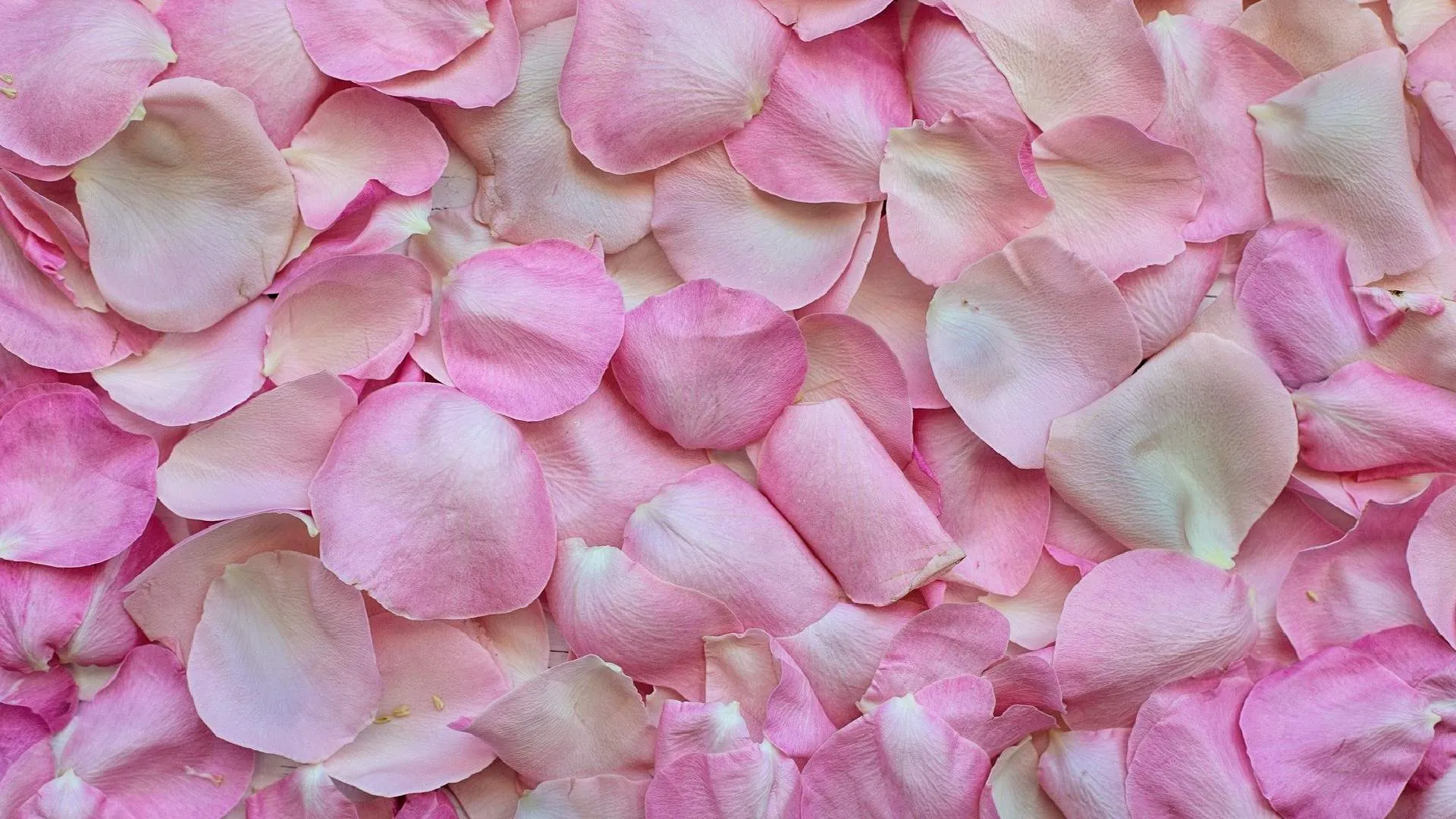 Historia del día de San Valentín