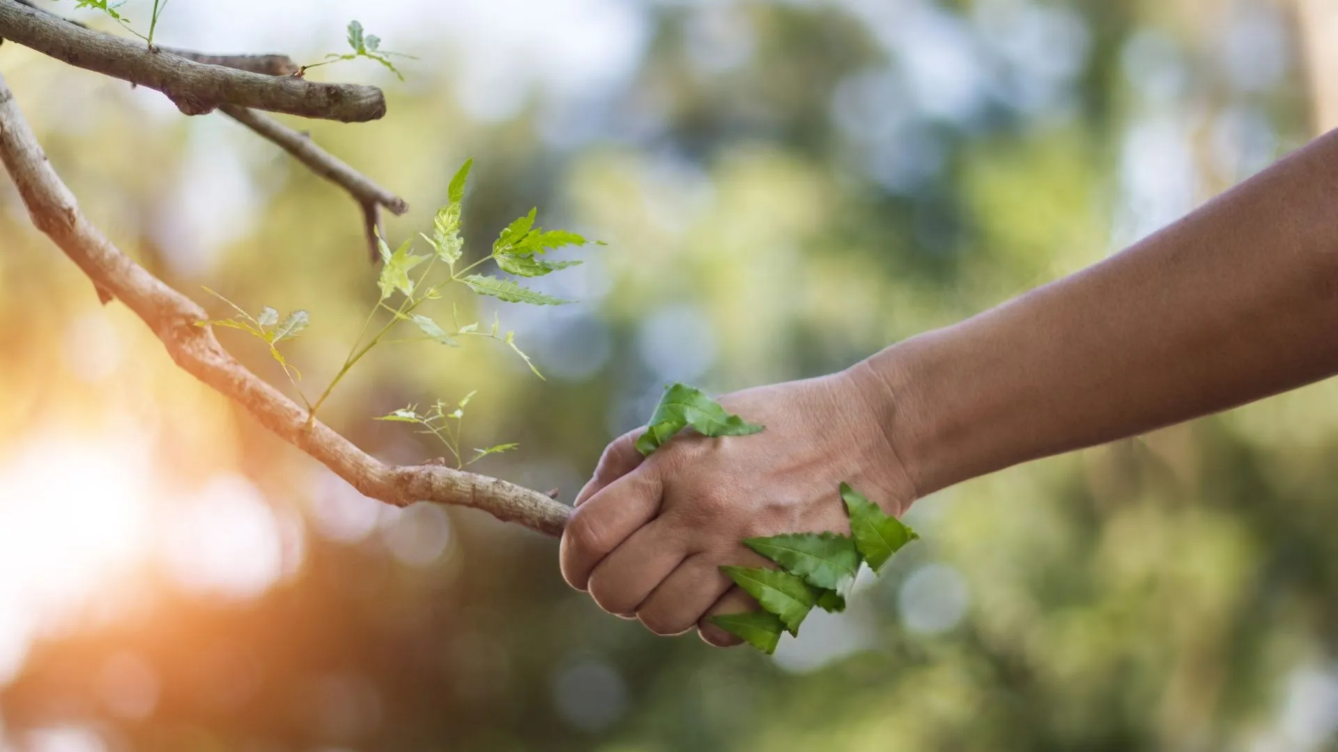 ¿Qué puedes hacer tú para cuidar el medio ambiente?