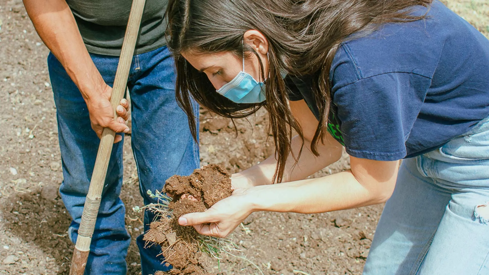 Margarita busca renovar fertilidad del suelo