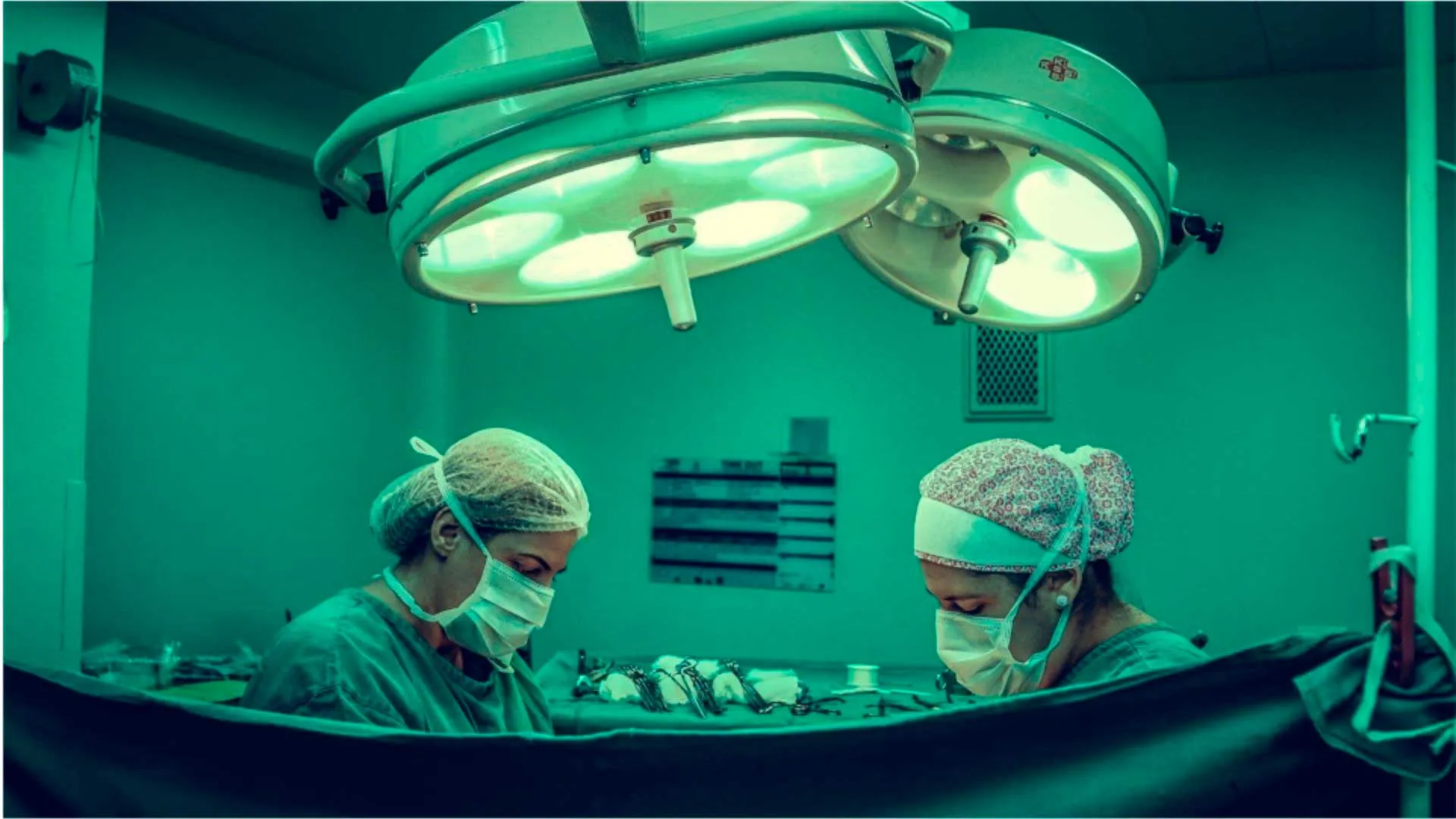 Qué dice la bioética de la donación de órganos de animales a seres humanos