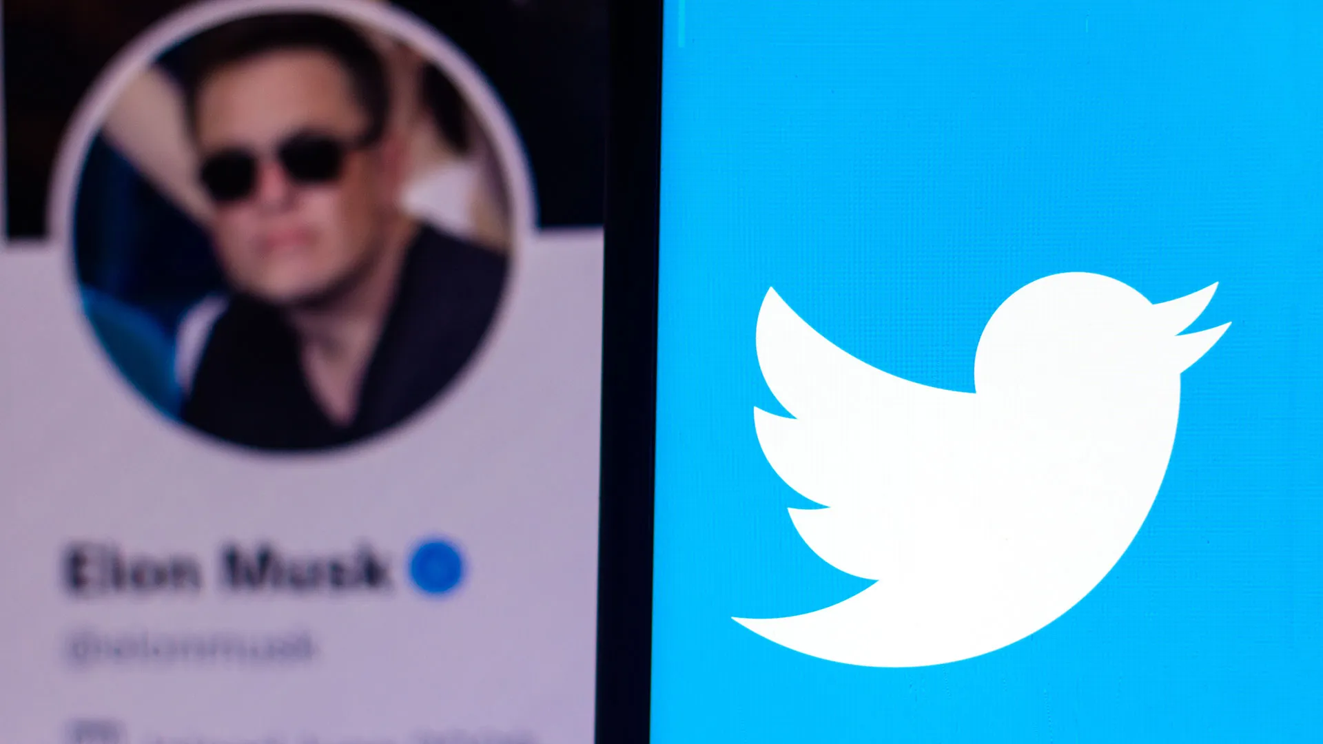 Elon Musk compra Twitter: ¿habrá más libertad de expresión?