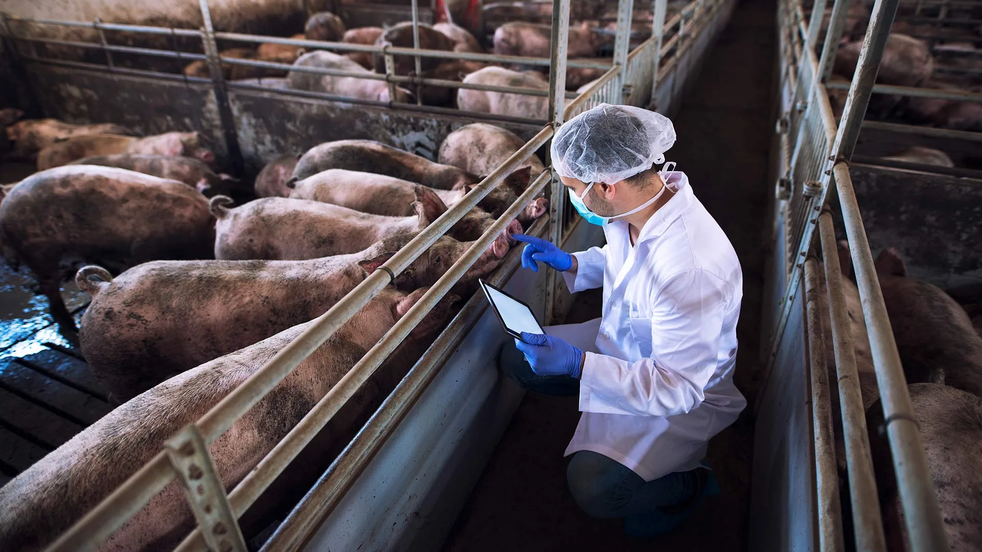 Estudiantes de la ASU y Tec colaboran para empresa internacional