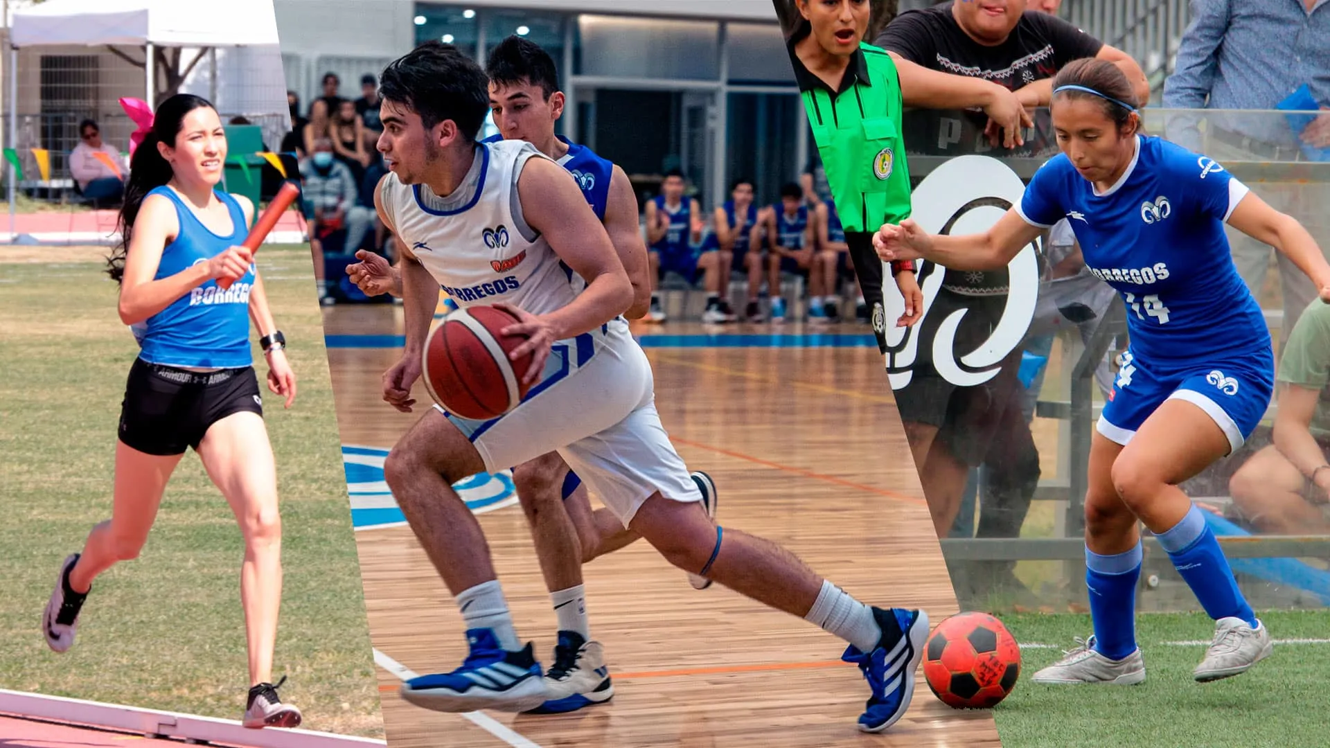 Borregos de Monterrey ¡Listos para la Universiada Nacional!