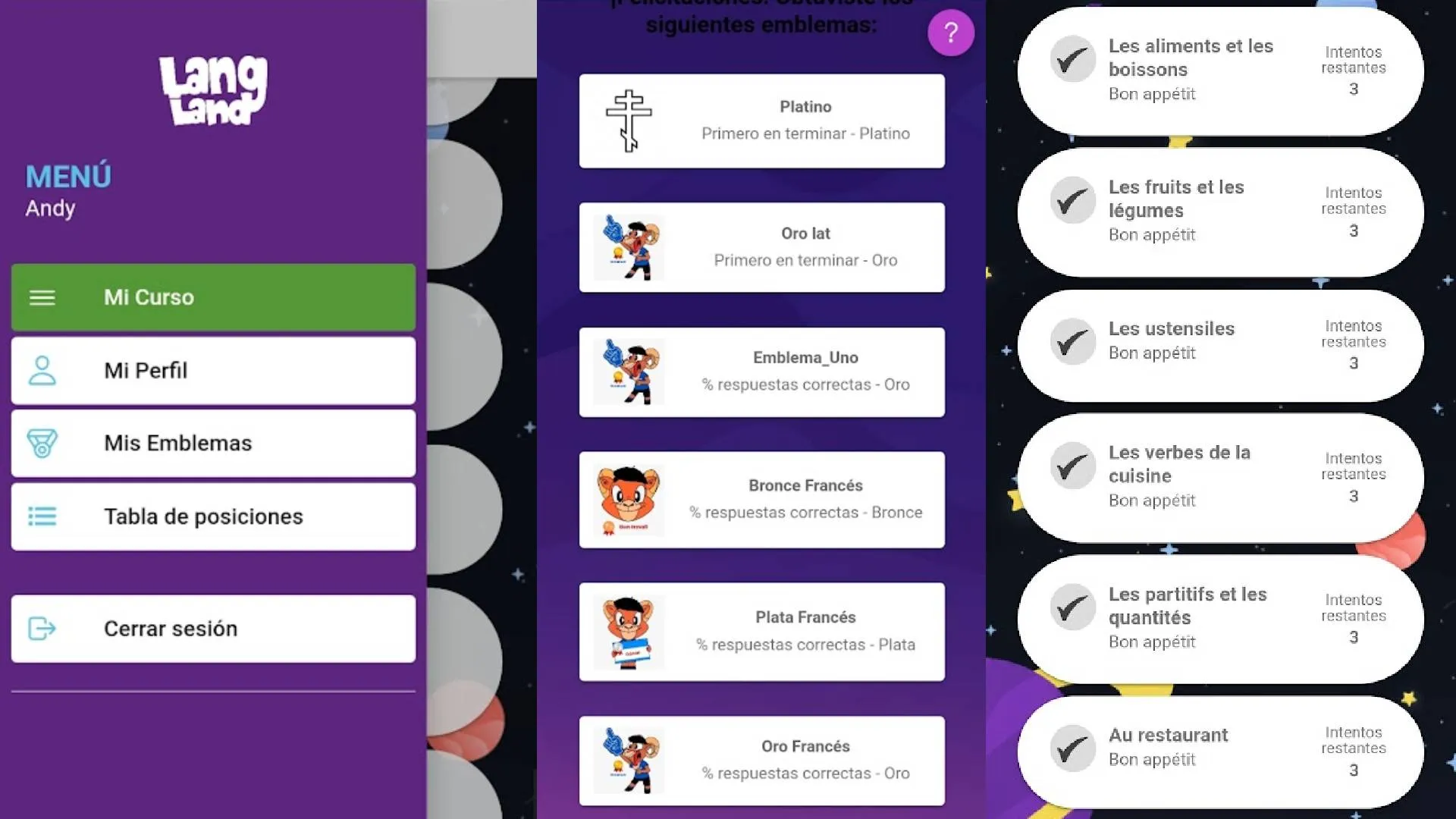 Vista dentro de la aplicación Langland