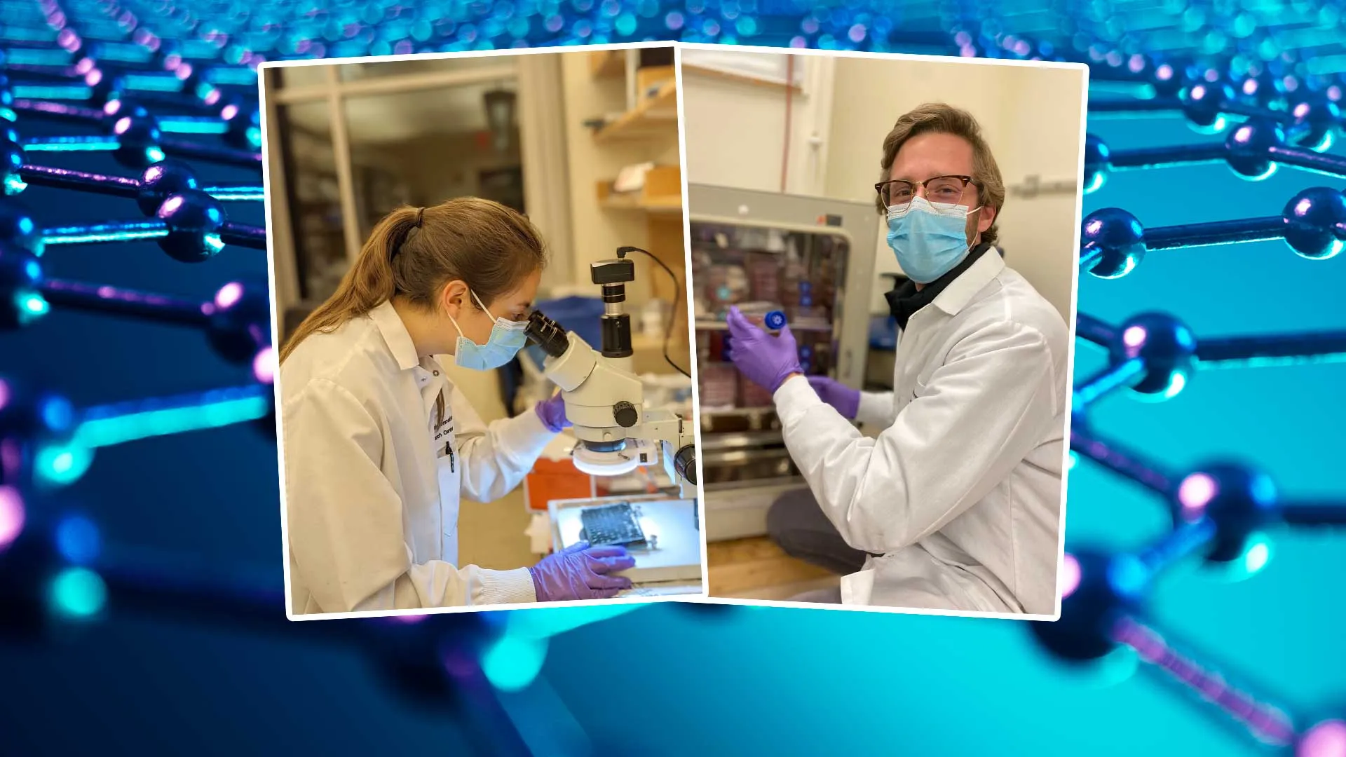 Hidrogeles vs cáncer: EXATEC y alumno Tec crean tratamiento   