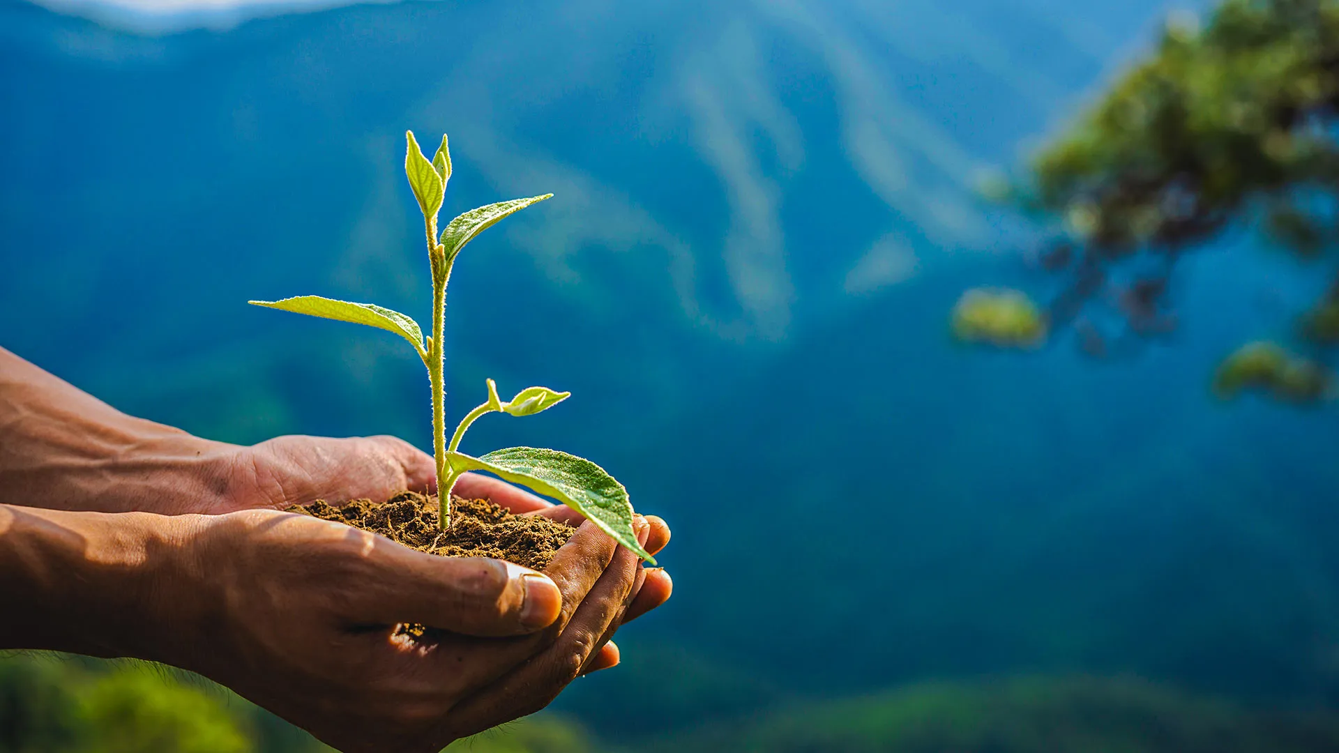 Un profesor investigador del Tec de Monterrey trabajó en un informe climático en el que se advierte la necesidad de tomar acciones contra la crisis climática