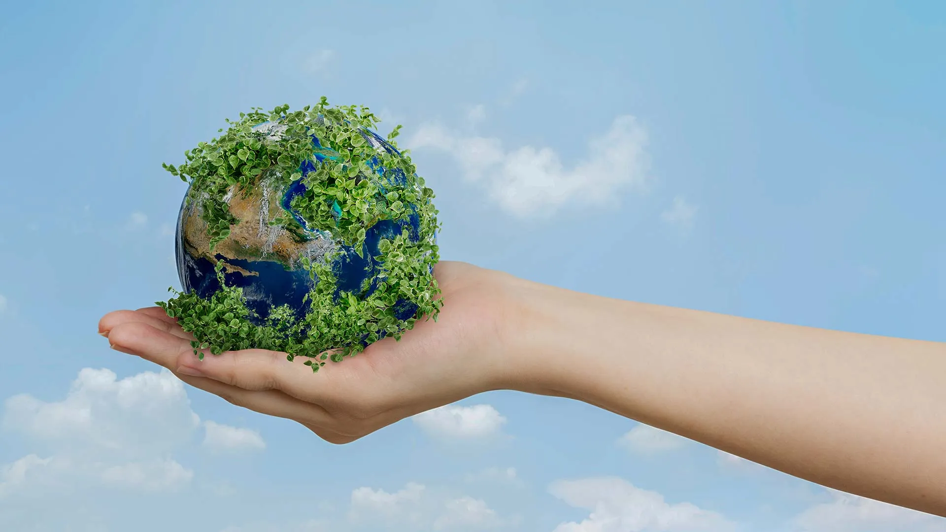 El plan de sostenibilidad del Tec incluye acciones para enfrentar la crisis ambiental y sus efectos