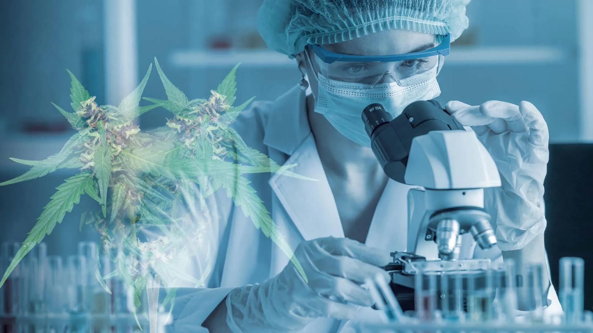 TecSalud conducting first CBD study to treat COVID after-effects