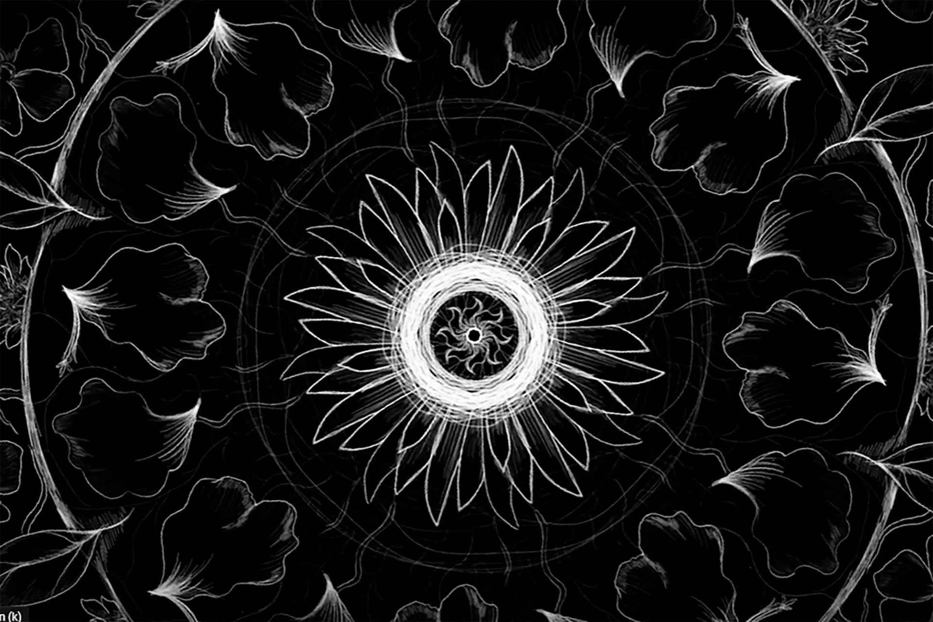 Ganadores Concurso Artes Visuales de VibrArt