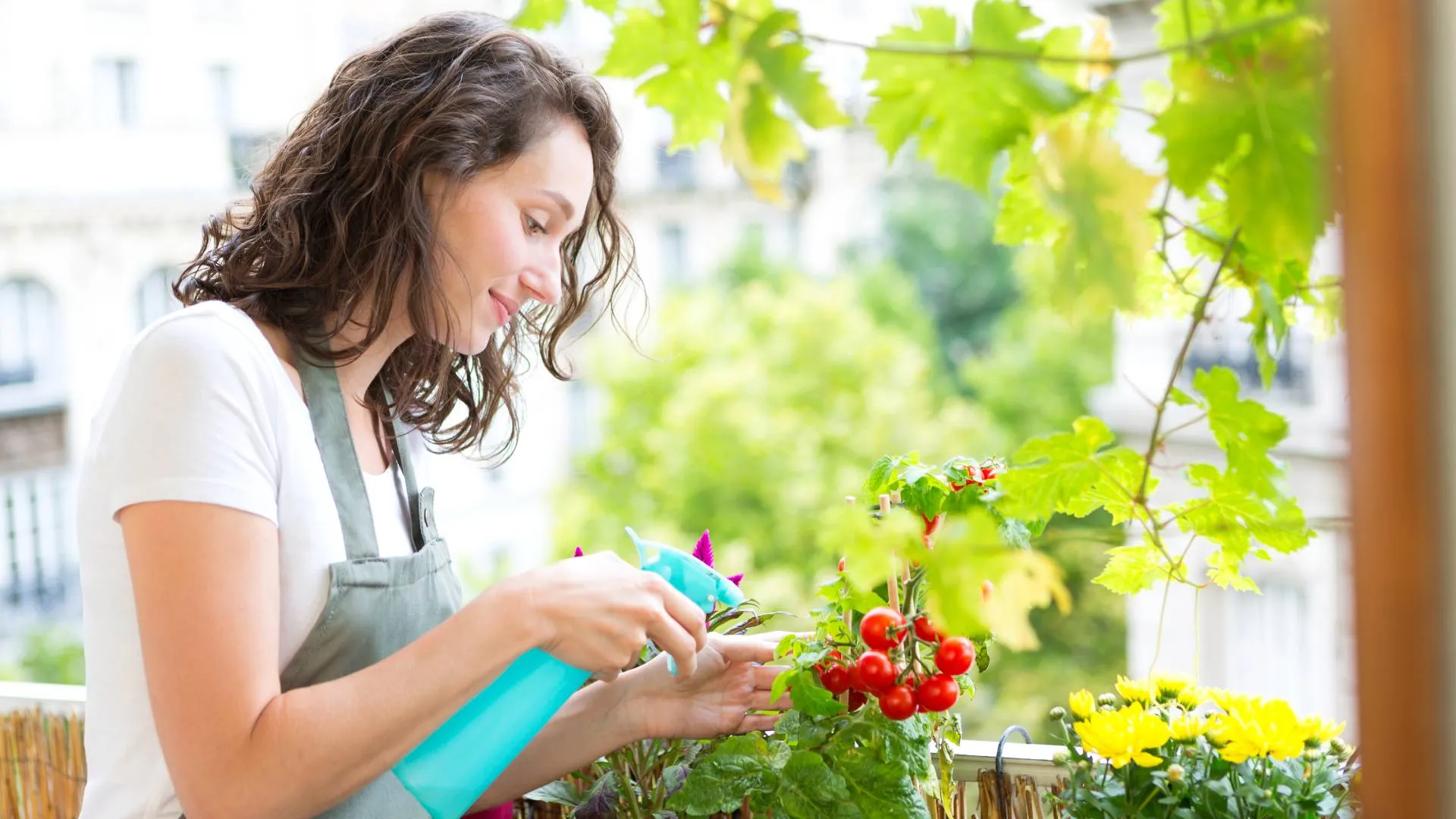 Integrantes de la comunidad Tec comparten consejos para que realices tu propio huerto en casa