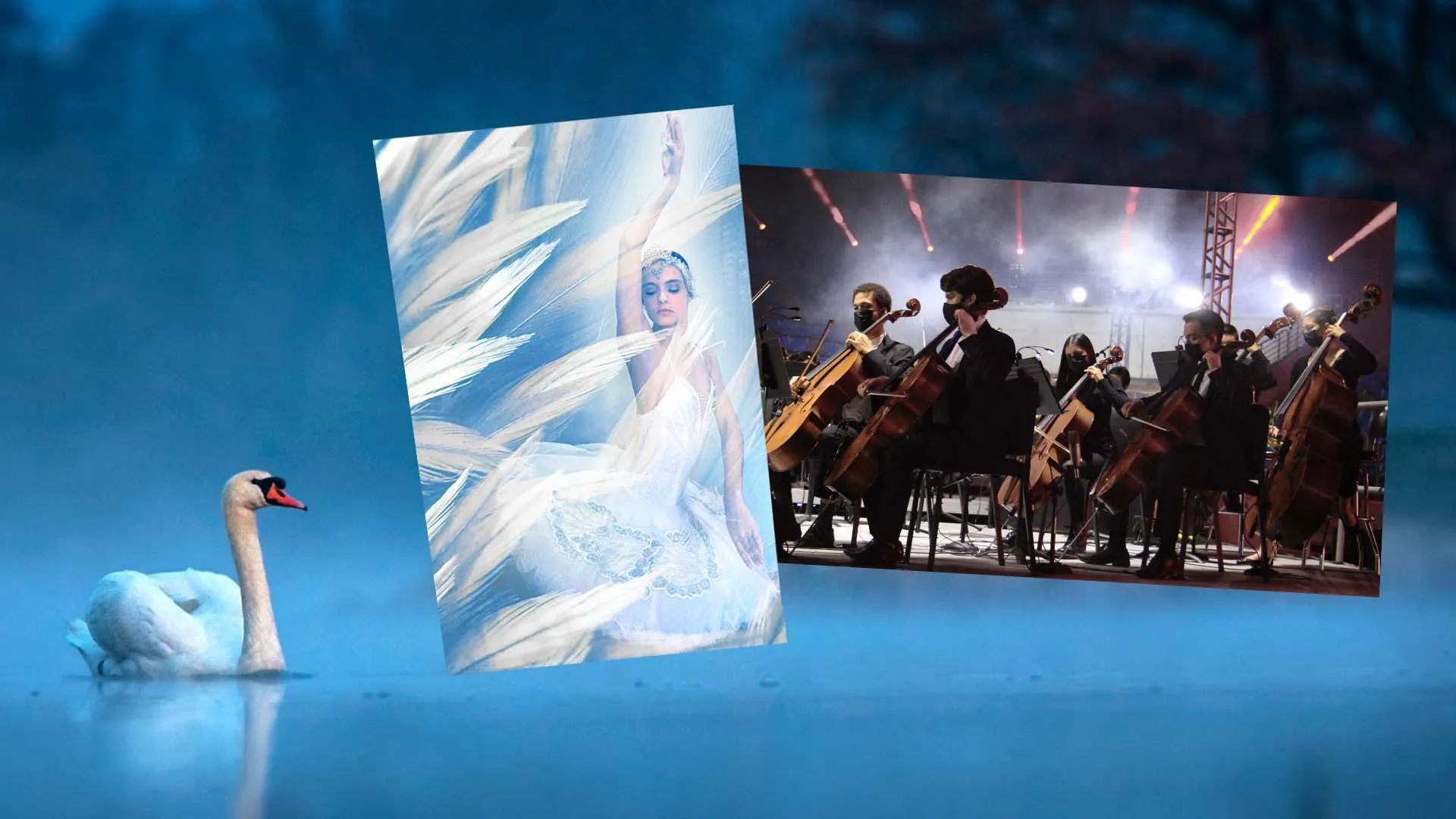 ¡35 años de música! Celebrará Orquesta del Tec con Lago de los Cisnes