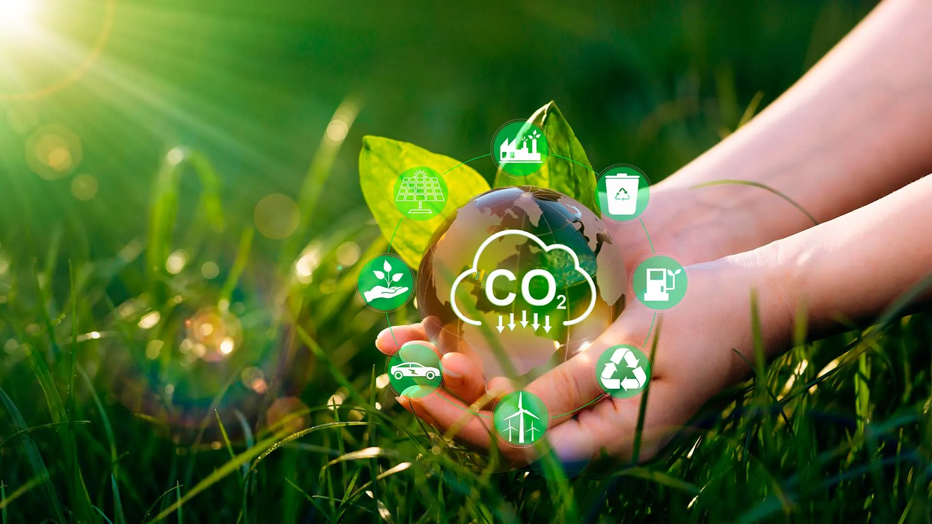 Cambio climático y economía