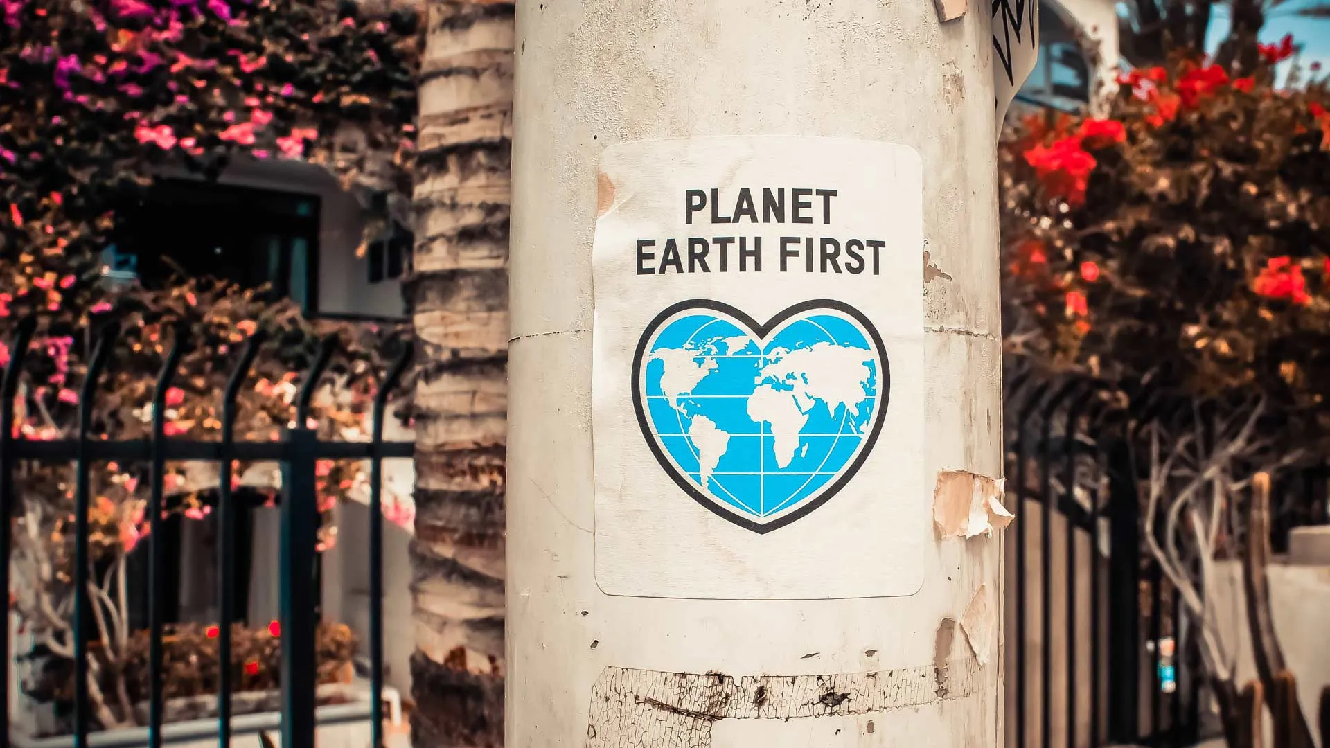 Consejos de especialista para saber cómo prevenir el deterioro ambiental