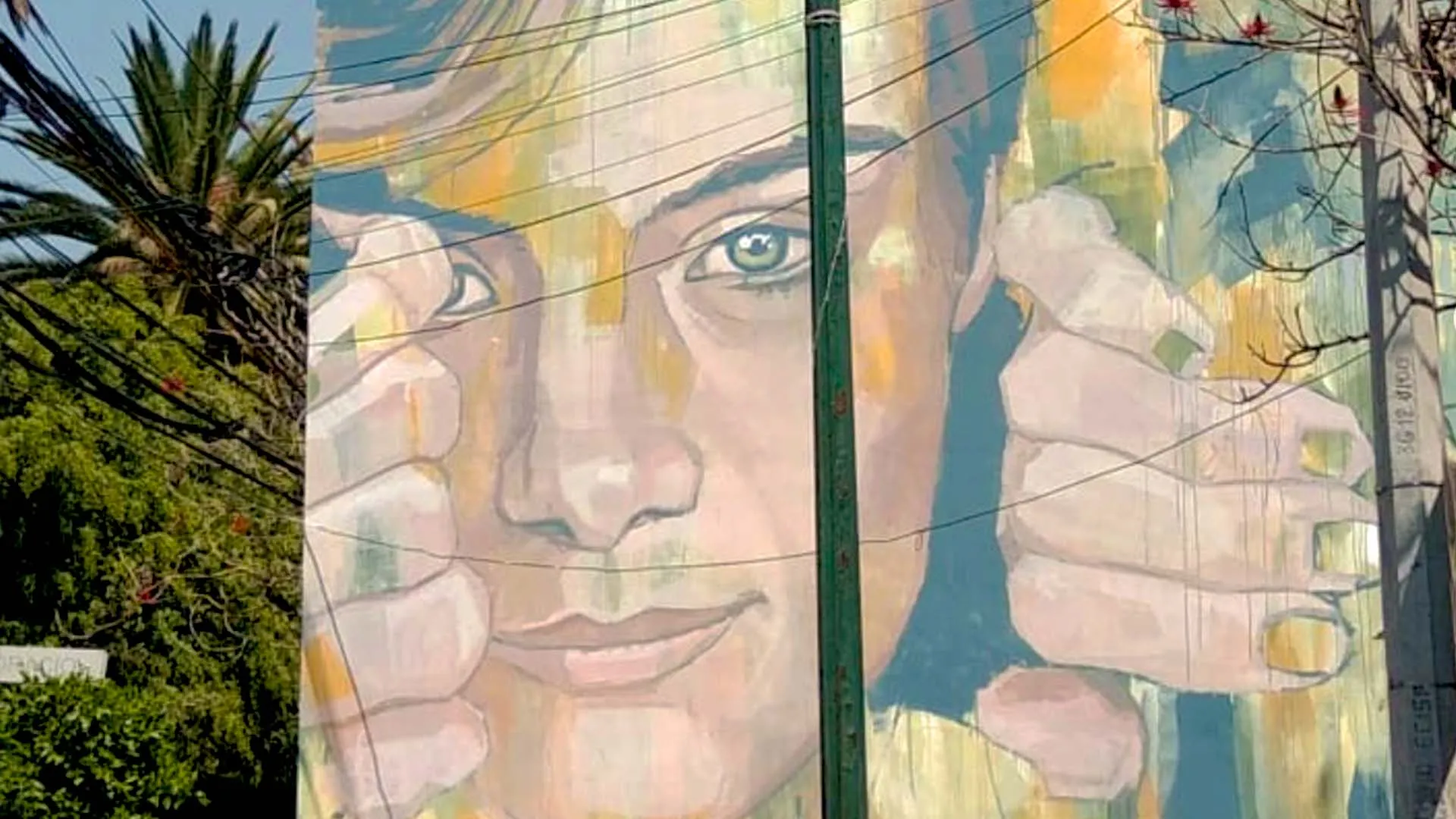 Converse, muro verde