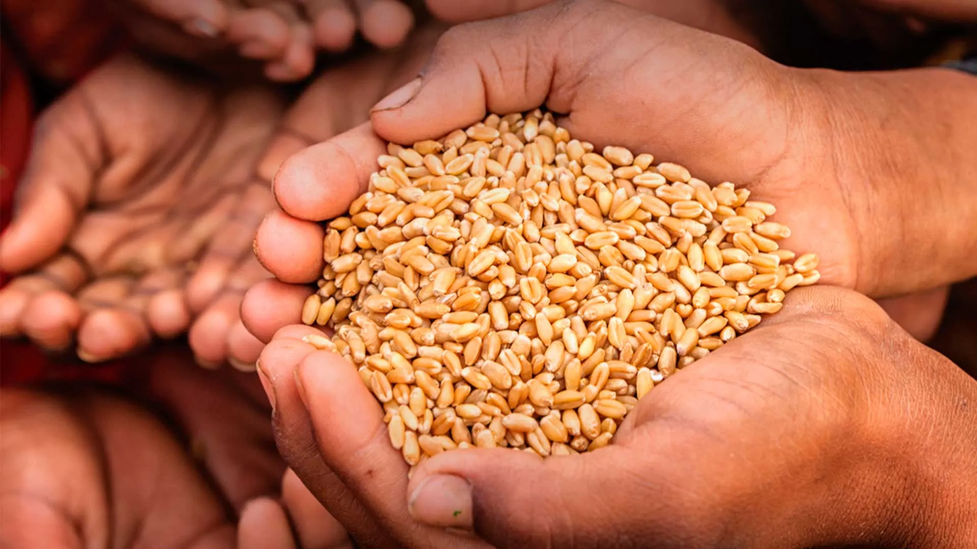 Libro sobre hambre y pobreza destaca en amazon.