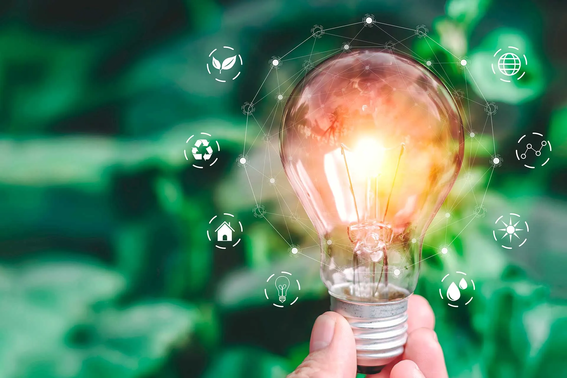 Reto HEINEKEN Green Challenge