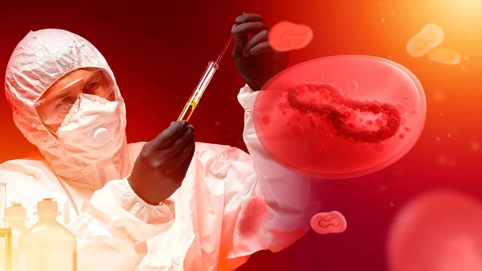 La viruela del mono tiene ya varias décadas de existencia, sin embargo, no había registrado brotes fuera de África.