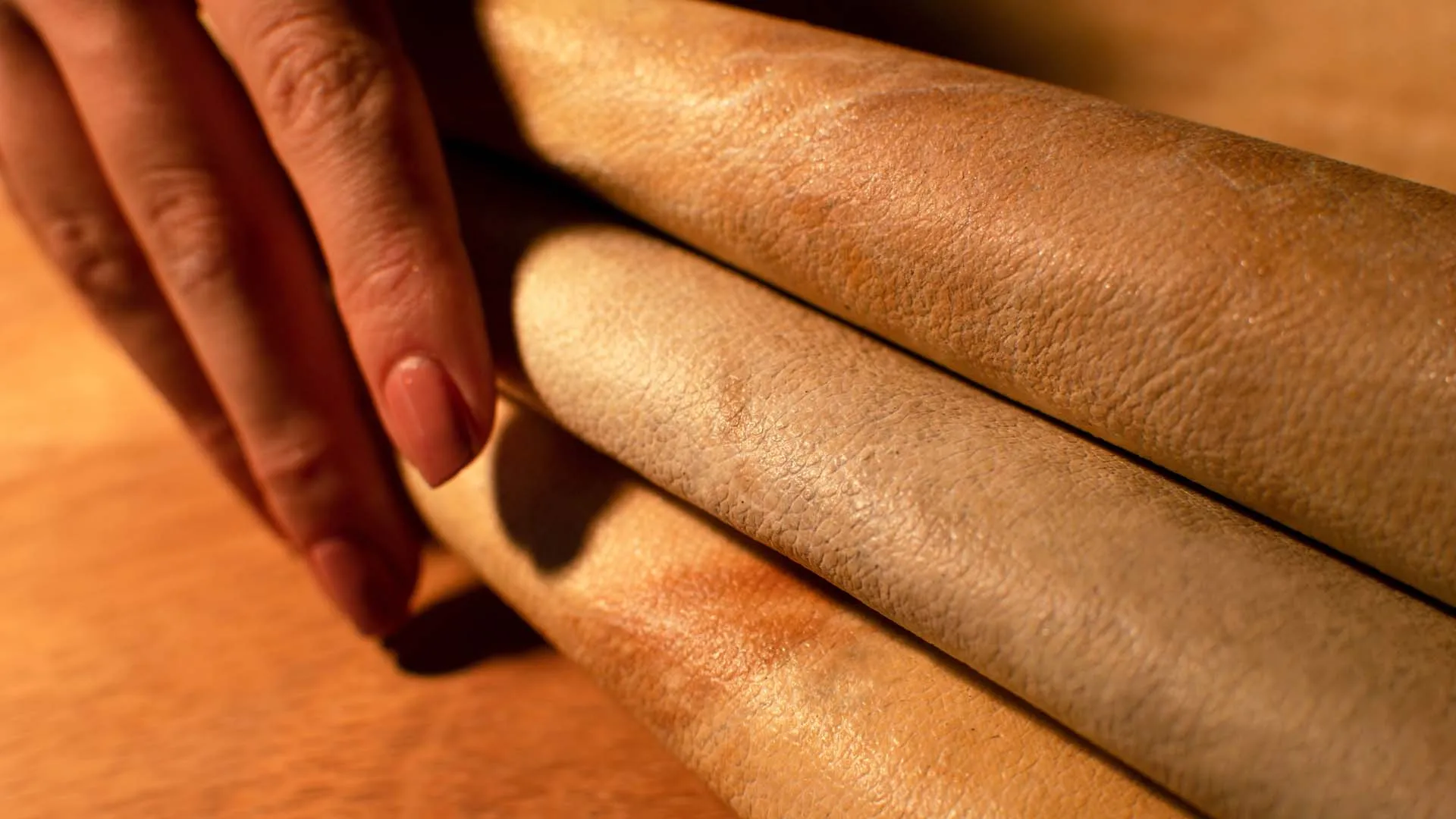 Estancia profesional biotecnología