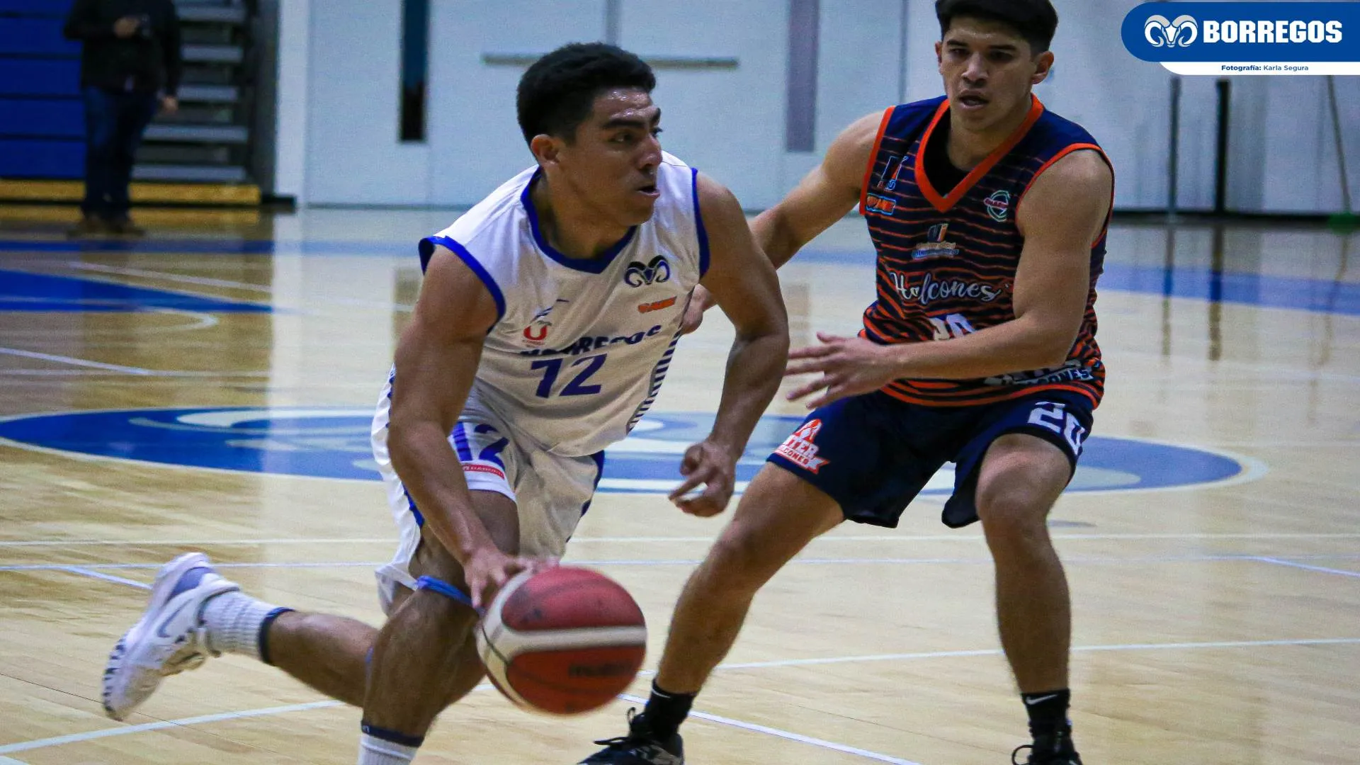 Borregos Puebla a poner en alto al Tec y a México