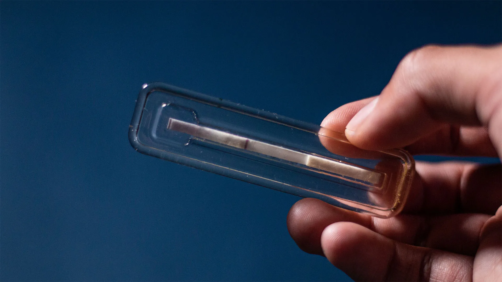 EXATEC crea pruebas rápidas biodegradables para detección de COVID-19