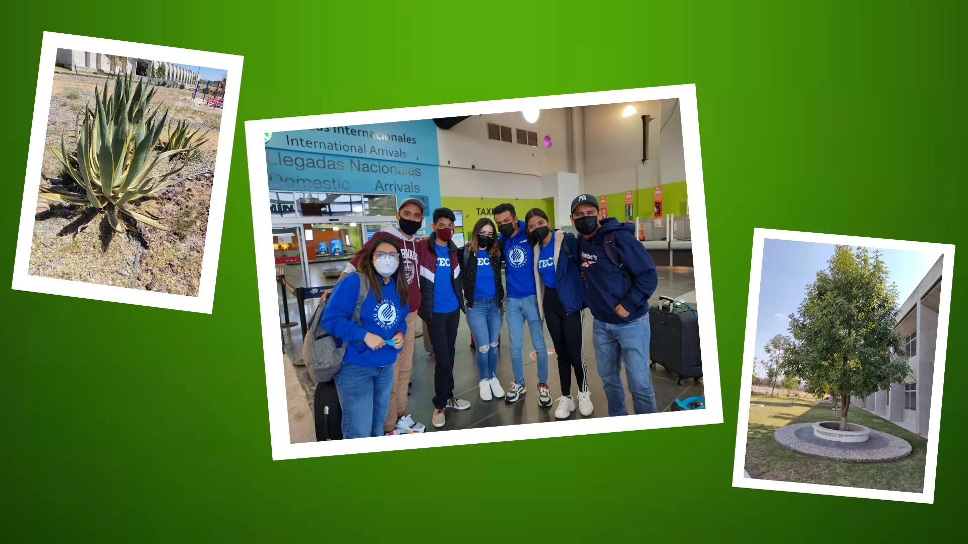 Gana beca completa por proyecto de clasificación de especies vegetales