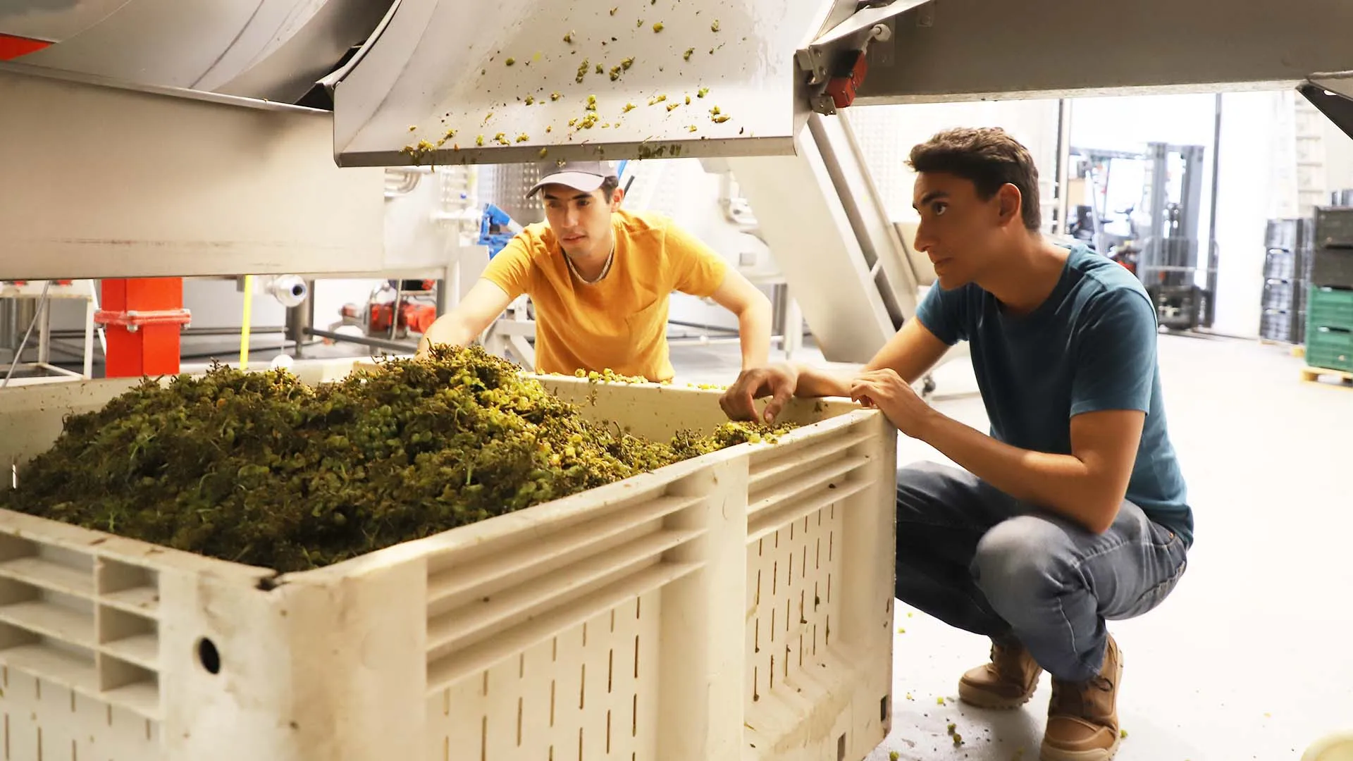 ¡Verano en Parras! Estudiantes Tec impulsan actividad de Pueblo Mágico