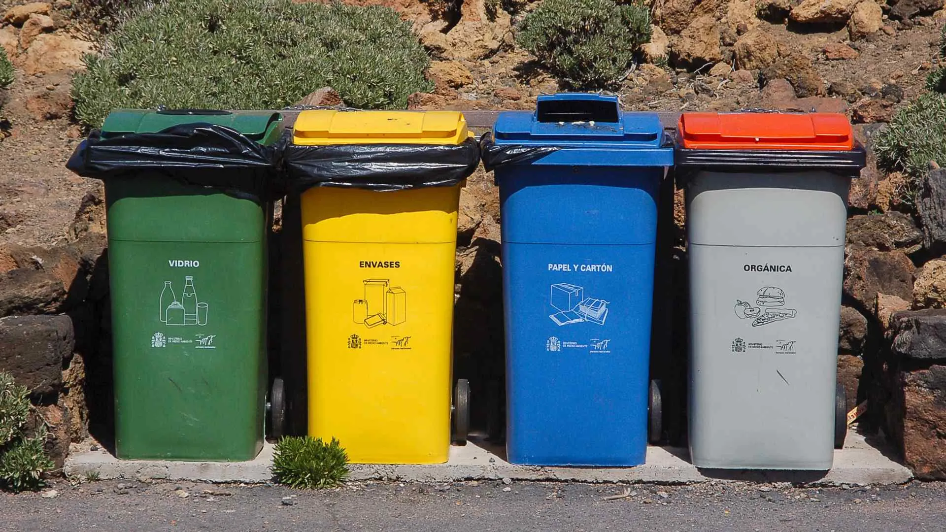 Crean app para combatir la contaminación con inteligencia artificial