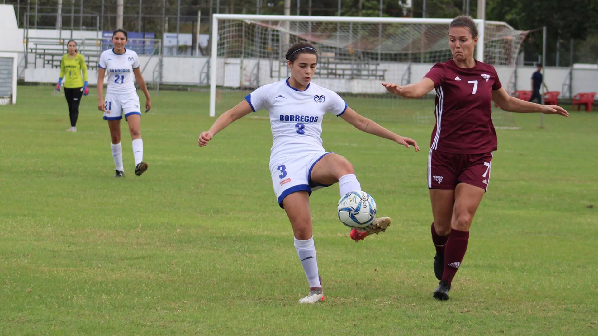Borregos compiten en juegos panamericanos universitarios