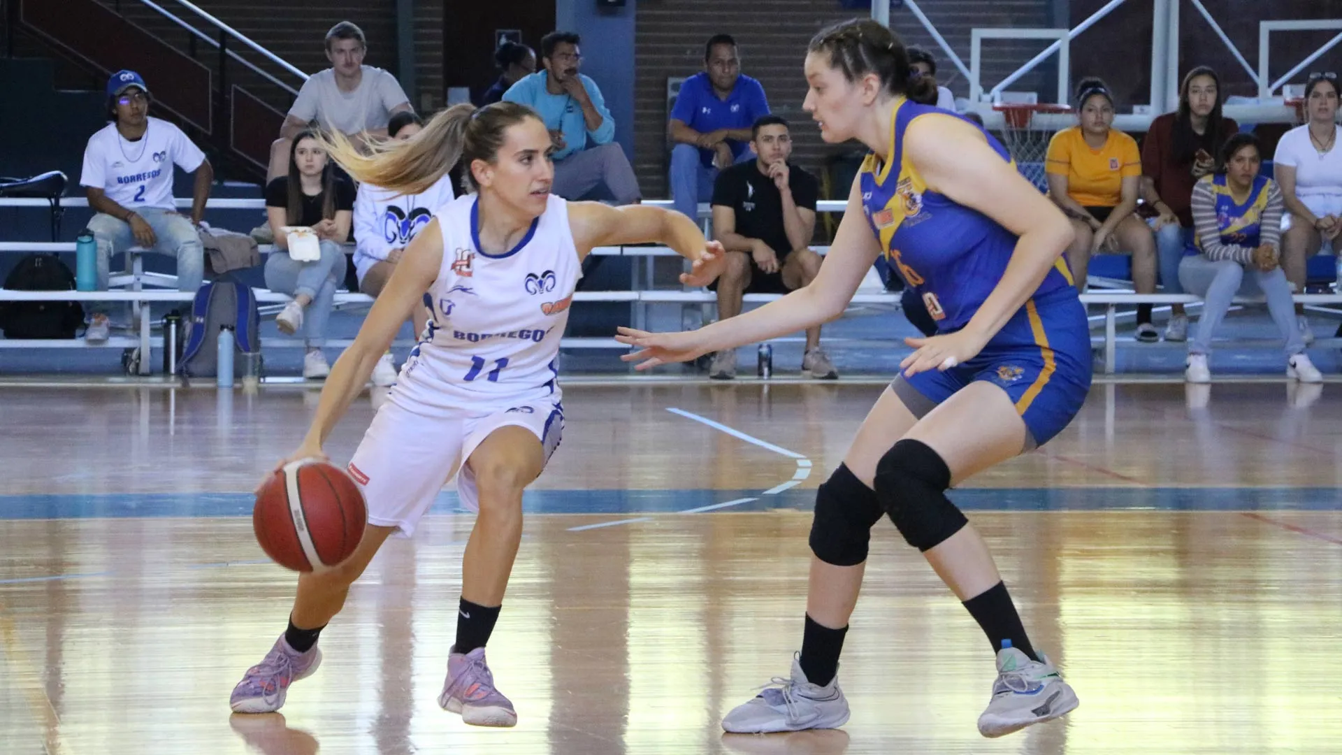 Se lleva Borregos Monterrey el clásico de básquetbol femenil