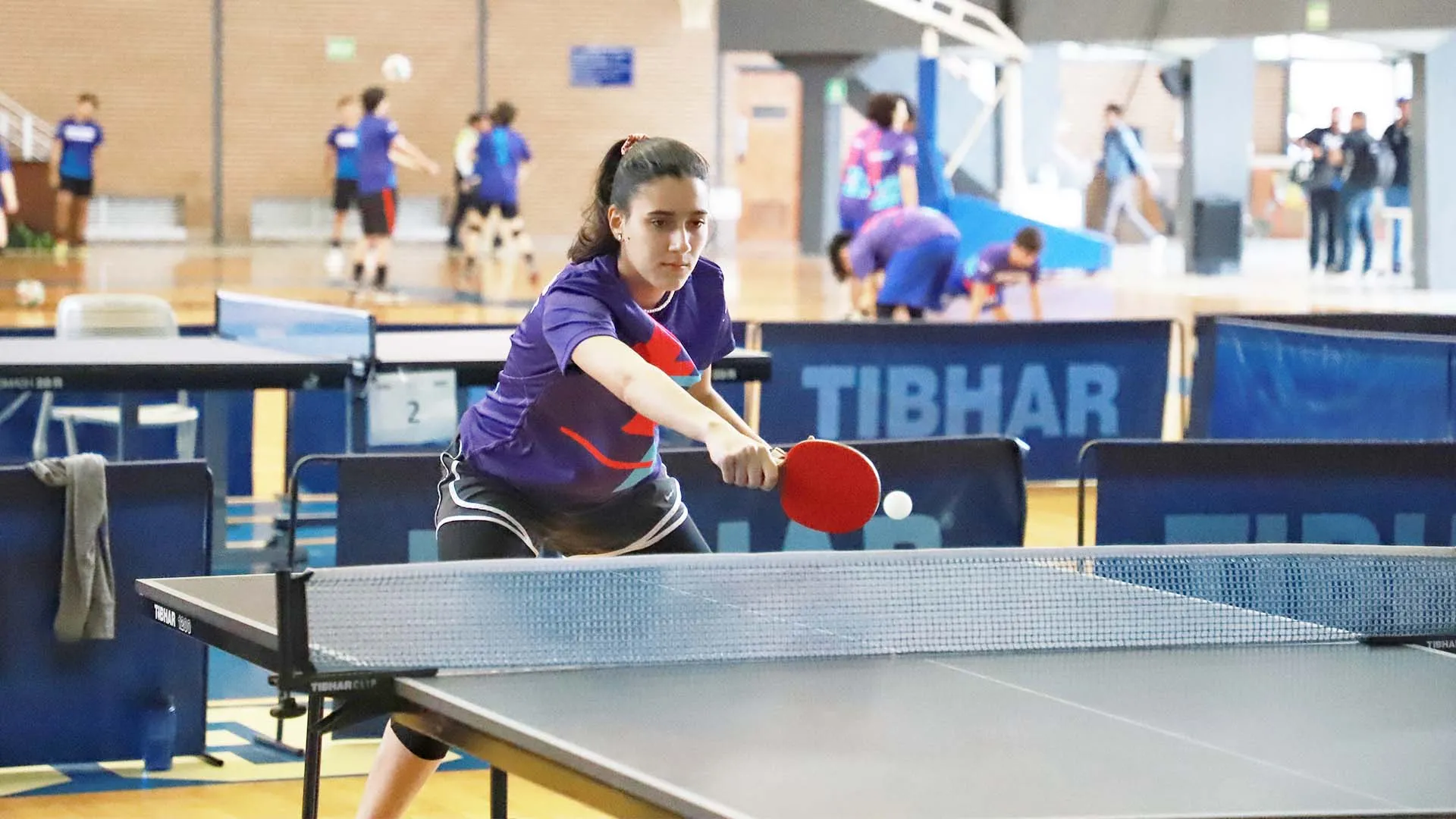 Brilla campus Laguna en Intercampus 2022