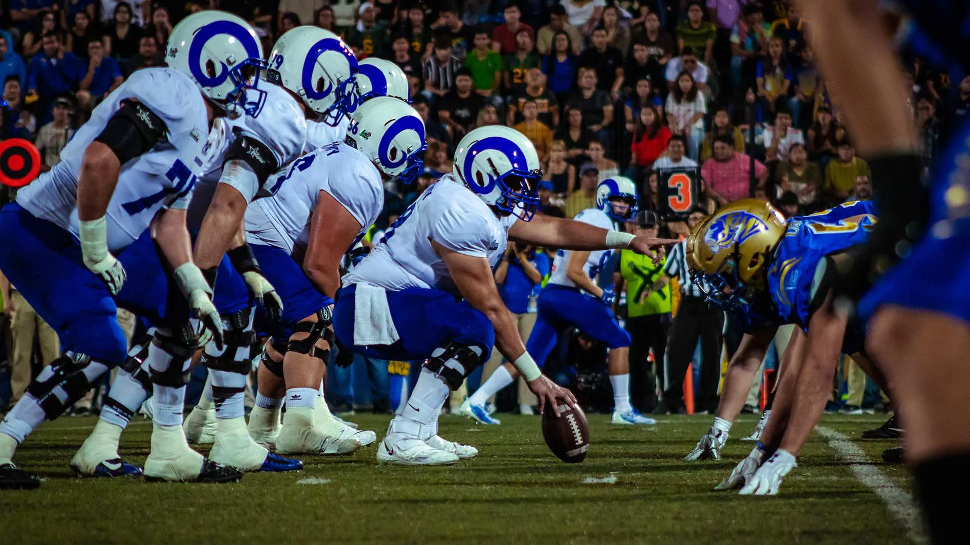 Va Borregos MTY por el campeonato de ONEFA