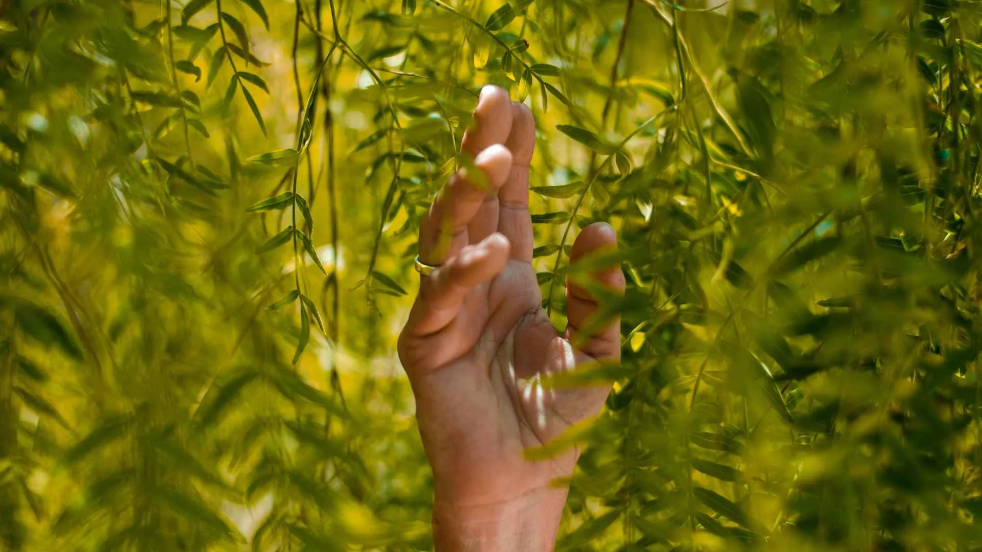 Estudiantes del Tec campus Morelia presentan proyectos que atienden a problemáticas socioambientales en el Conversatorio de Sustentabilidad y Tecnología.