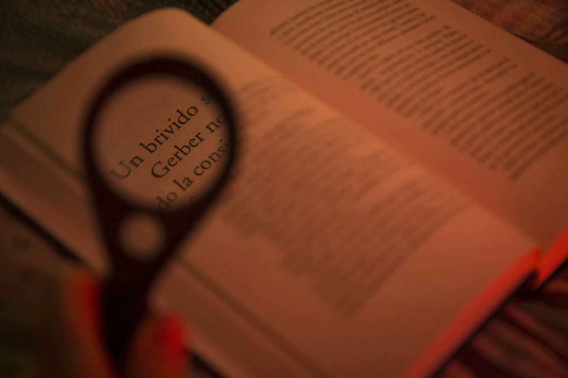 Recomendación de 5 libros de terror contemporáneos escritos por autores latinoamericanos.