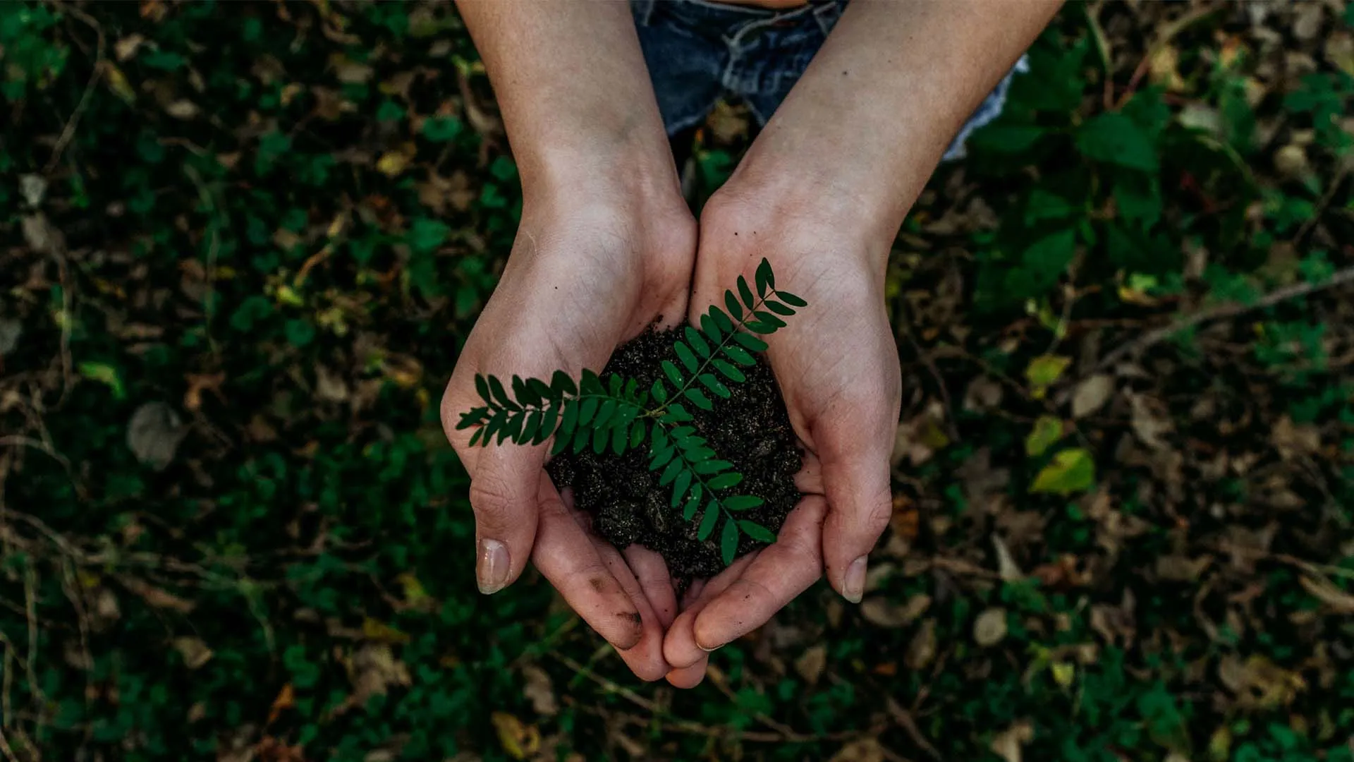 Tips para una vida sustentable