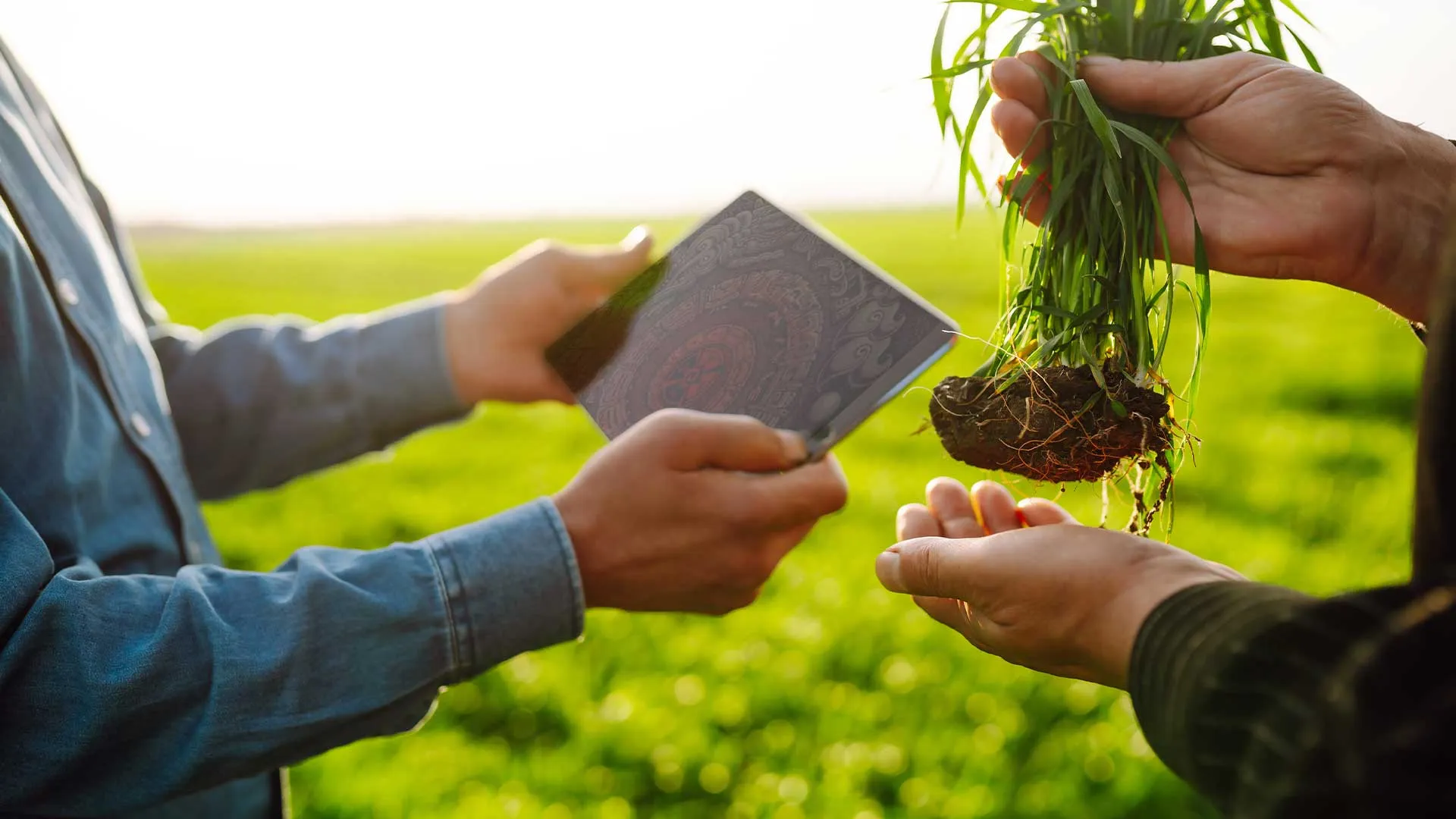 Alumnos campus Monterrey crean aplicación en el Space Apps 2022 