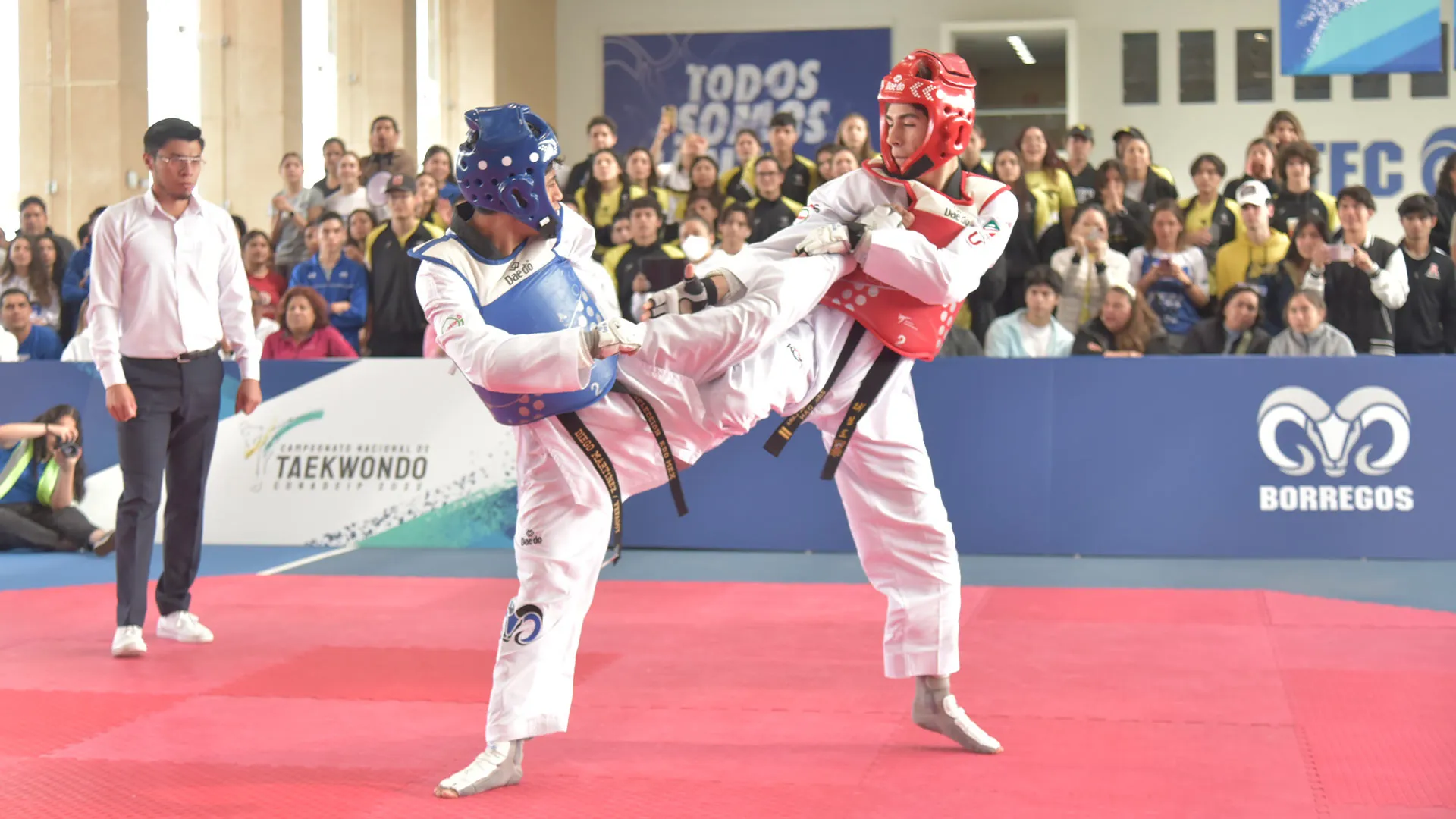 ¡Taekwondoínes dorados! Borregos Santa Fe ganan 5 oros en Nacional