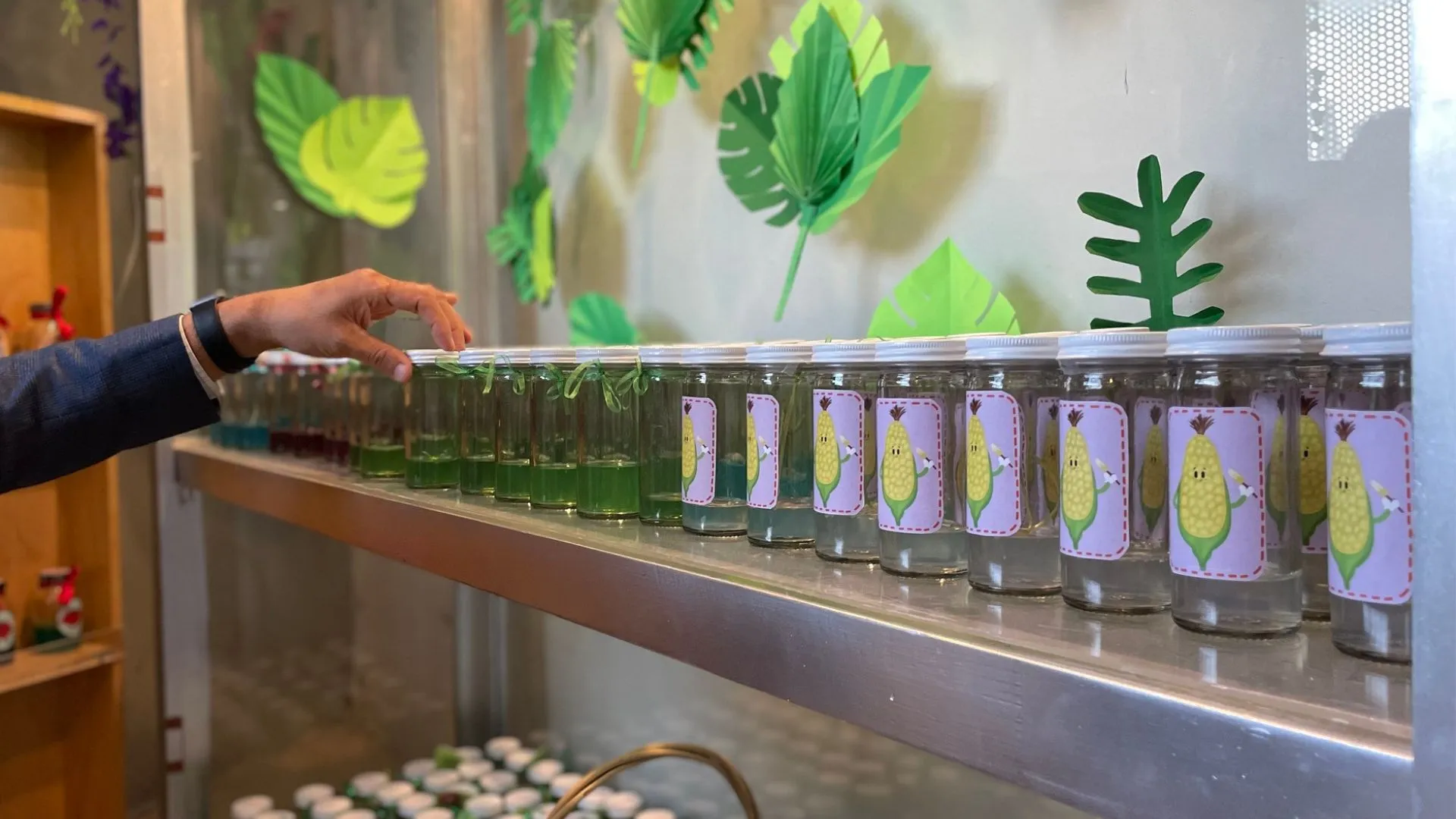 Alumnos del Tec construyen huerto y laboratorio en museo de Chihuahua