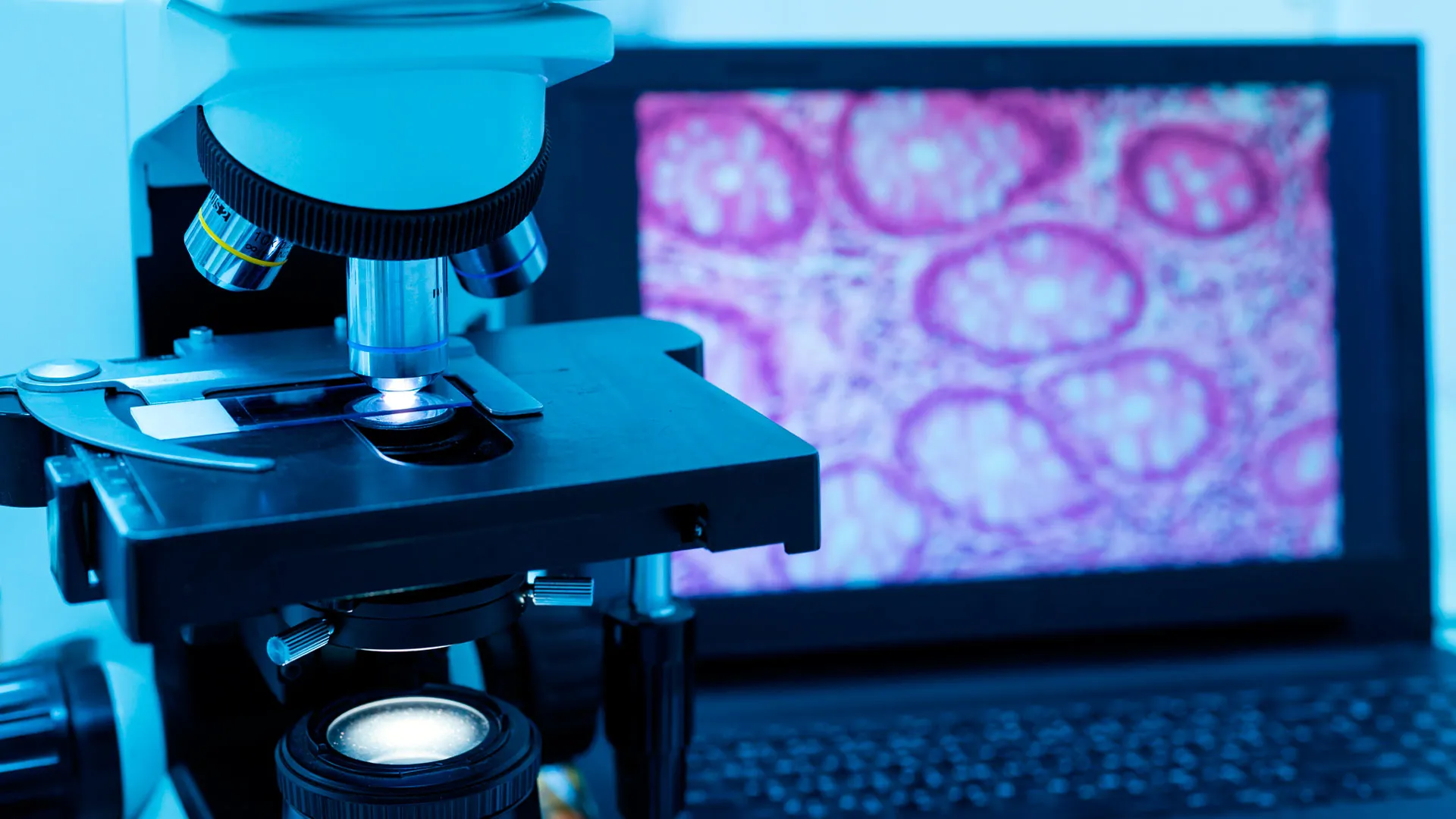 Investigadores del Laboratorio Álvarez Trujillo han trabajado en el desarrollo de diferentes tipos de tejidos con el uso de bionanotecnologías.