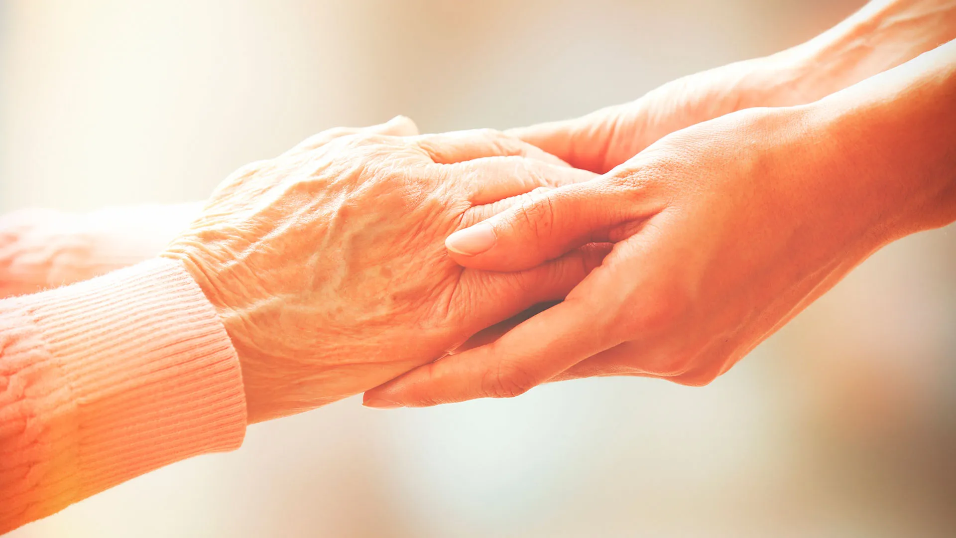 biosintec, inflamació