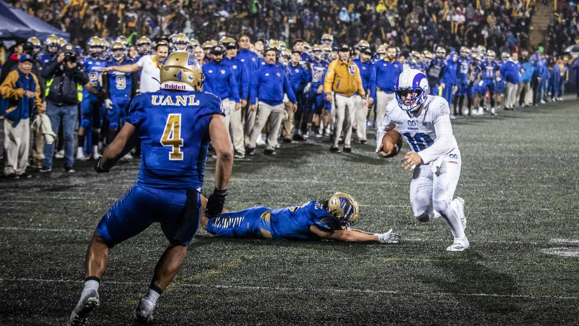 Borregos Monterrey: campeones de la ONEFA 2022! (videonota)