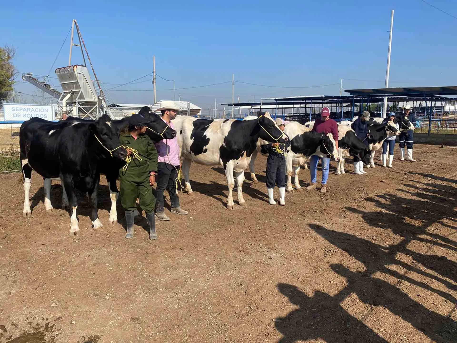 Estudiantes desarrollan proceso de fertilidad en establo lechero