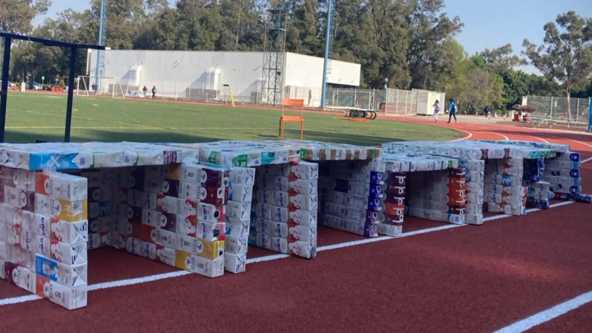 casas para perros callejeros