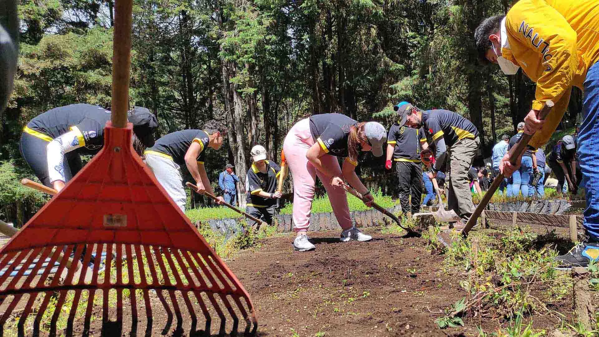 Nautilus reforestación