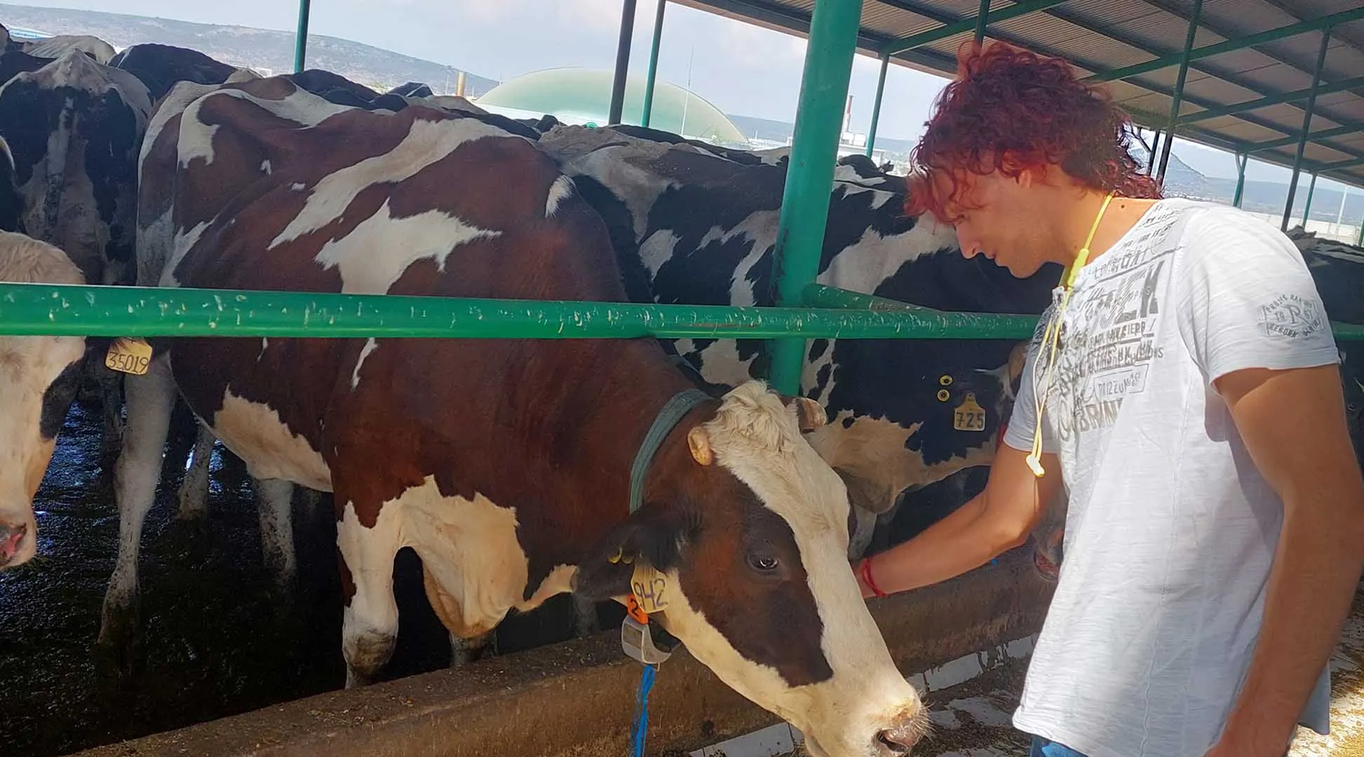 Estudiantes del Tec campus Querétaro apoyan la sustentabilidad con Biodigestores