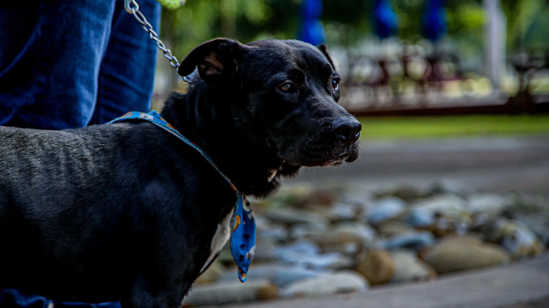 nuevo-colaborador-tec-chilaquil