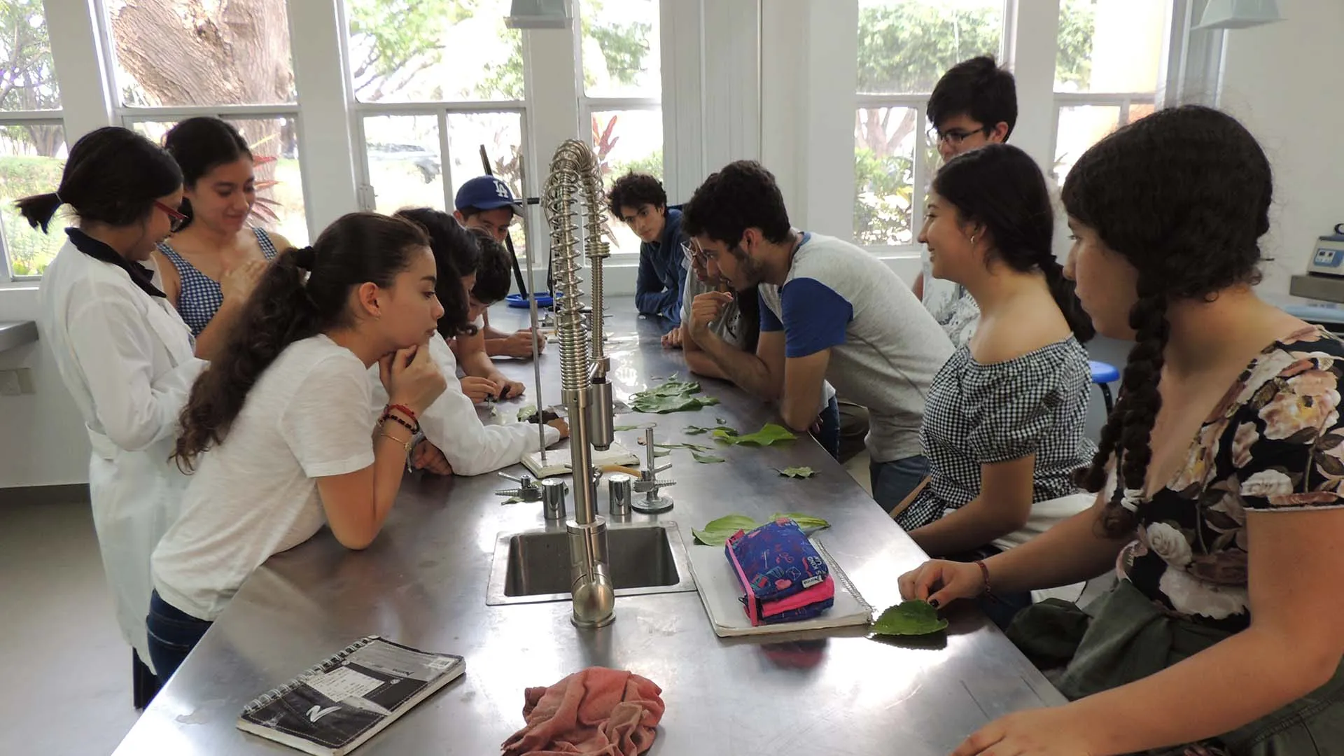 Ovis Canadensis, grupo estudiantil enfocado a la biología y ciencias