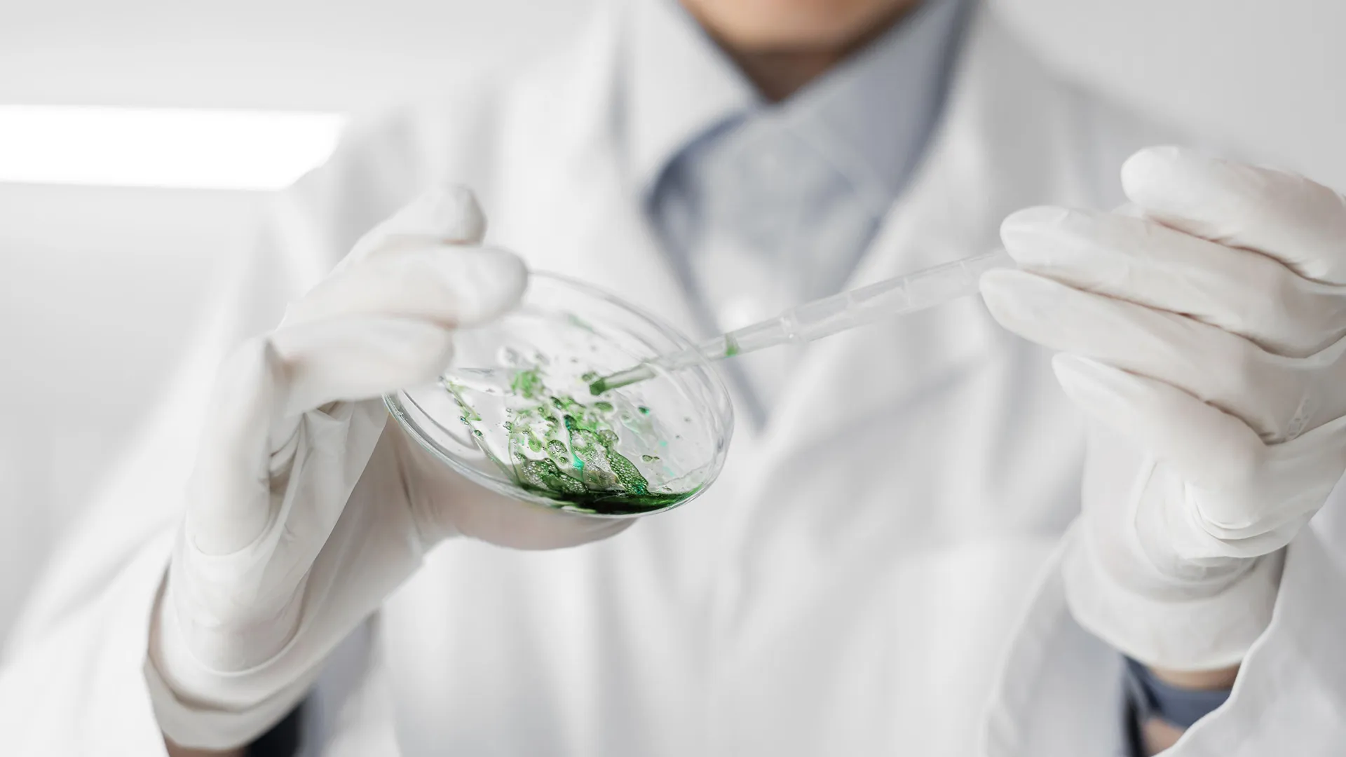 Por buscar bioplástico a partir de microalgas estudiante es reconocida