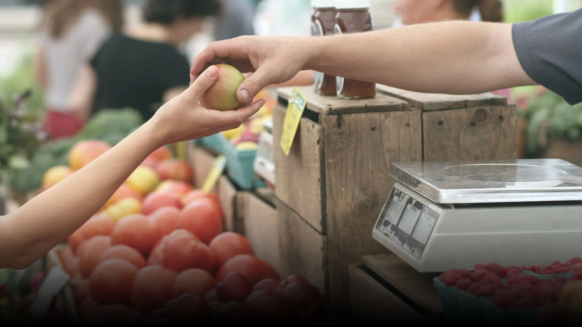 Estudiantes del Tec campus Querétaro ganan concurso del MIT Lab