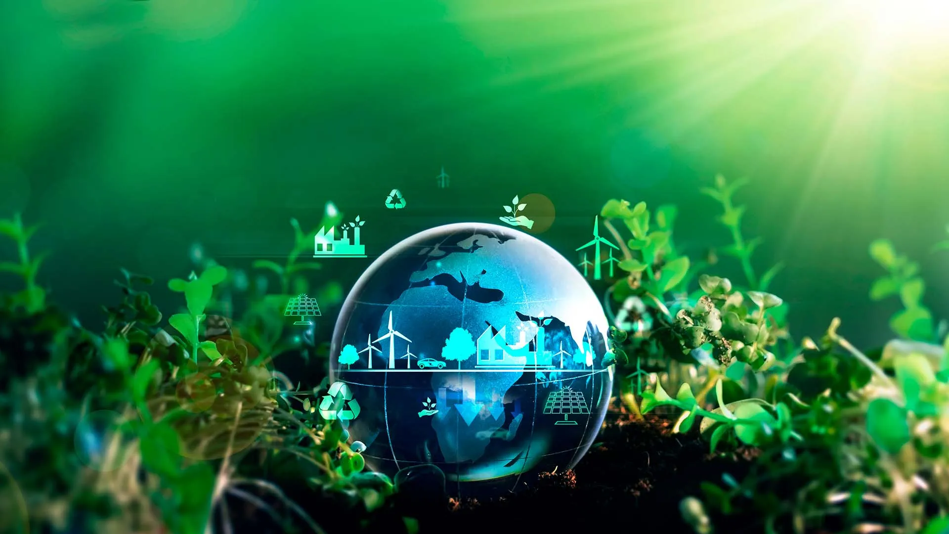 cambio climático, xignux challenge