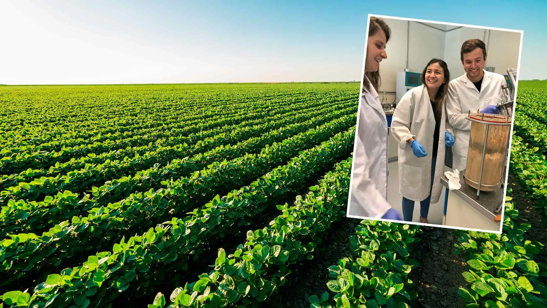 Tres EXATEC crearon una startup enfocada en la agricultura regenerativa.